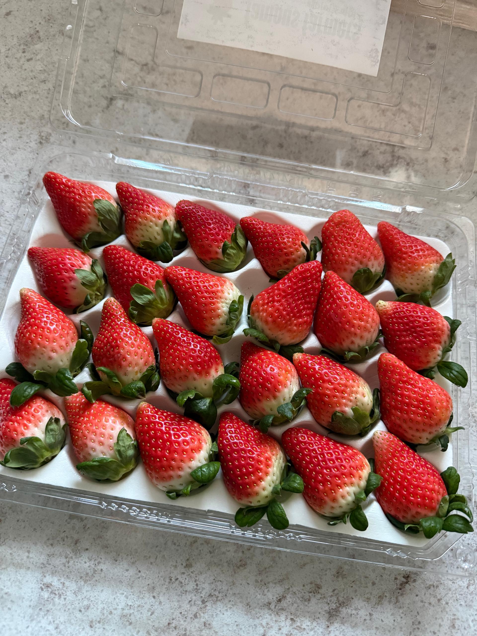 연곡 페이머스파머스 딸기 800g