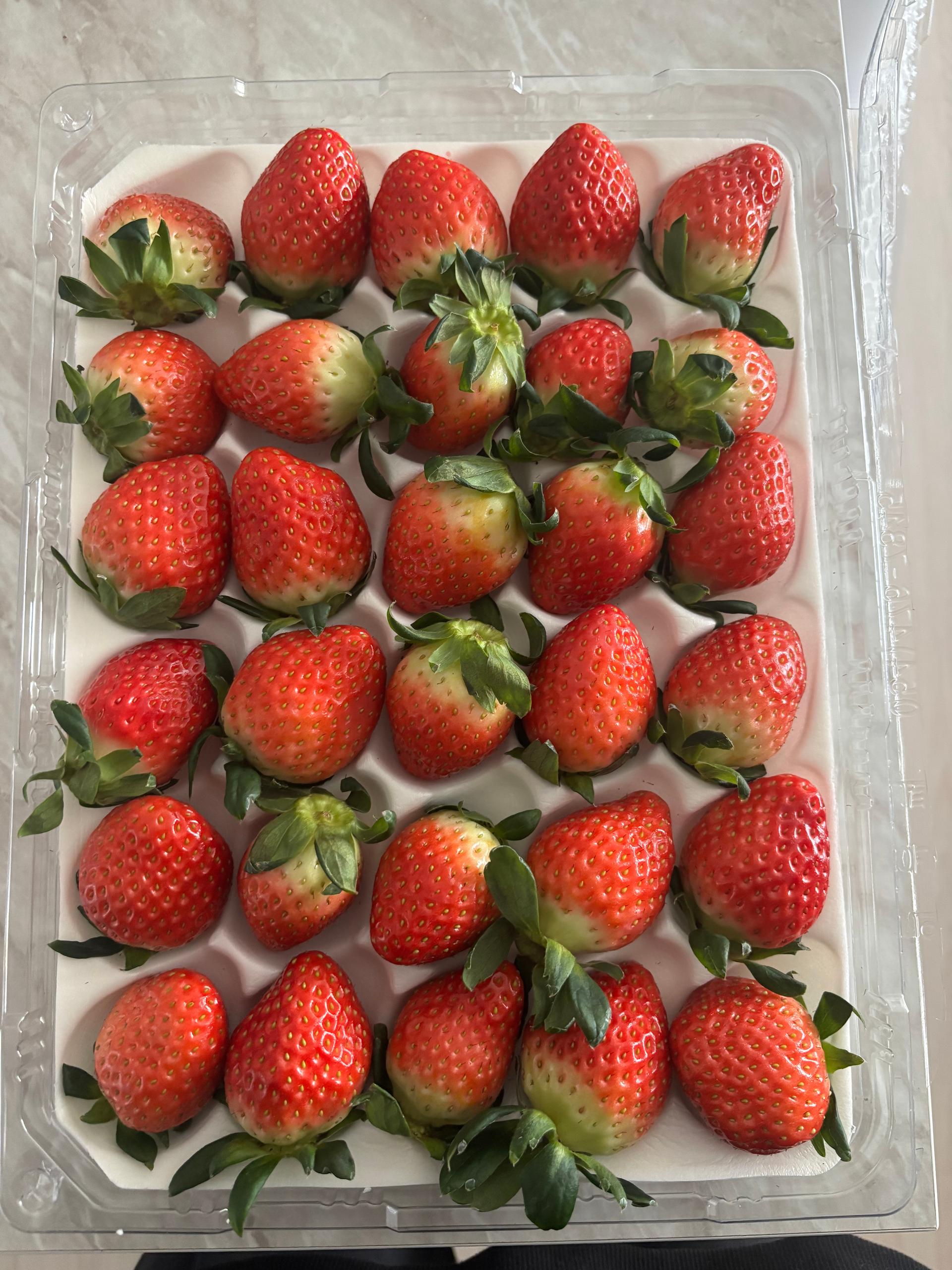 연곡 페이머스파머스 딸기 800g