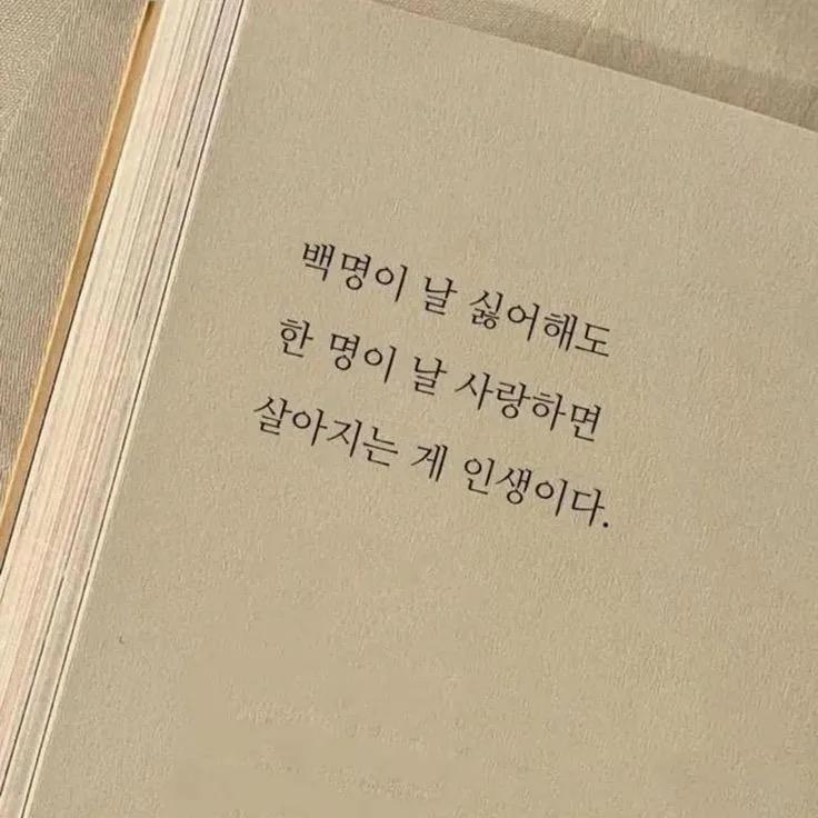 동화가든 원조짬뽕순두부 세트 1.75kg + 국산콩비지찌개 850g