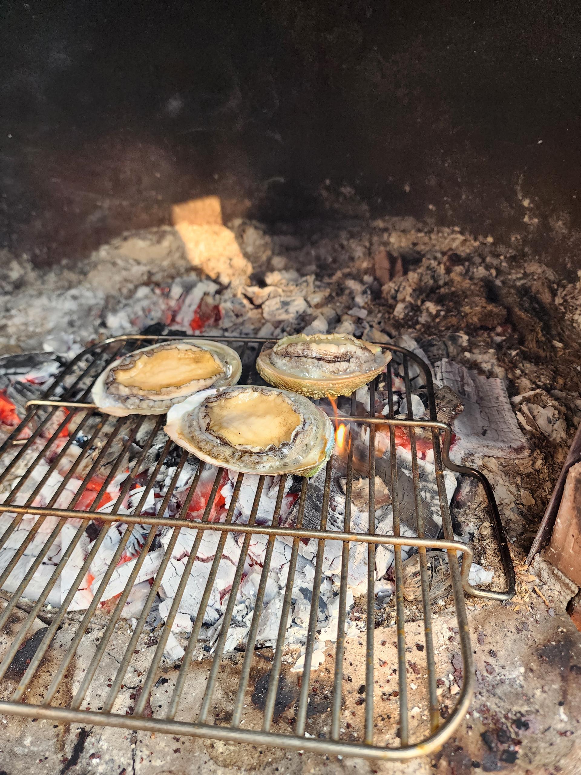 완도 전복 실속 선물세트 (1kg)