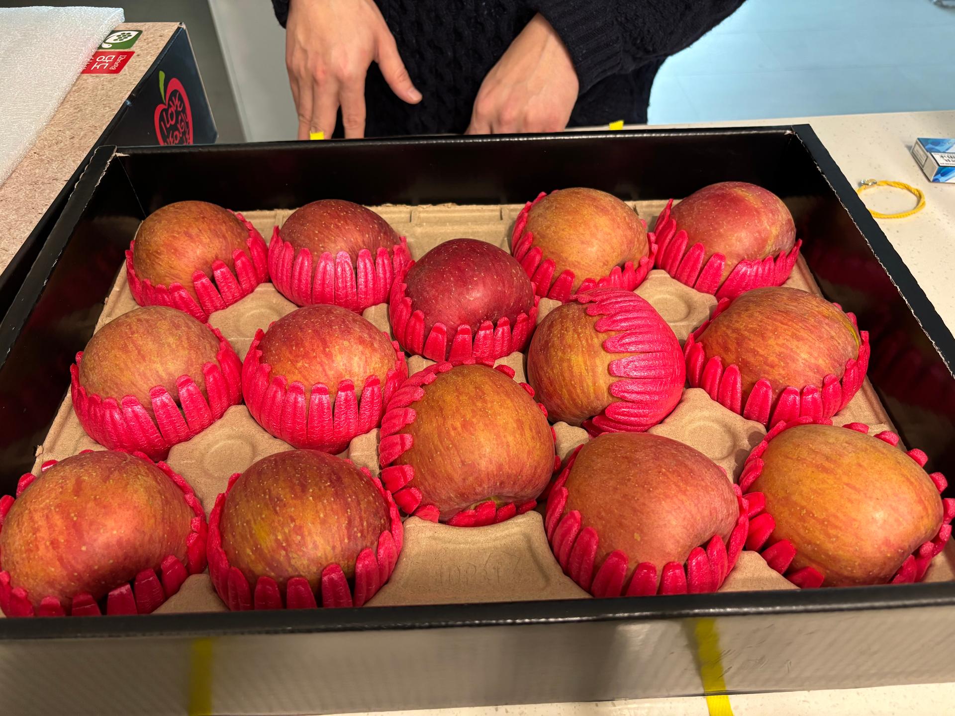 [대경사과원예농협]영주사과 3.2kg 선물세트+1kg 추가 증정