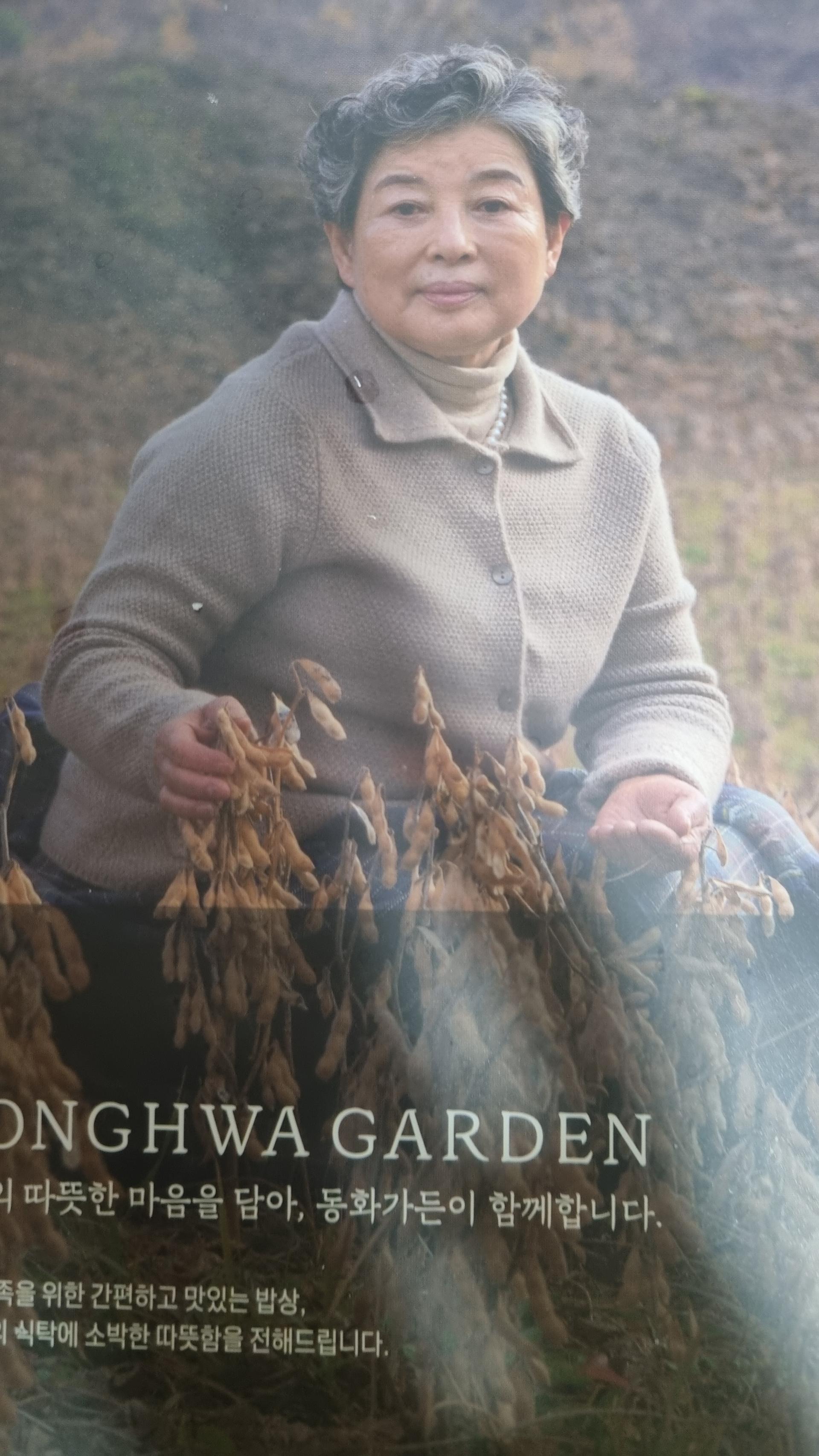 동화가든 원조짬뽕순두부 세트 1.75kg + 국산콩비지찌개 850g