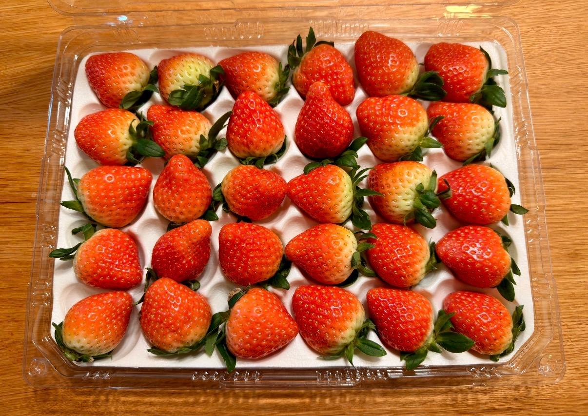 연곡 페이머스파머스 딸기 800g