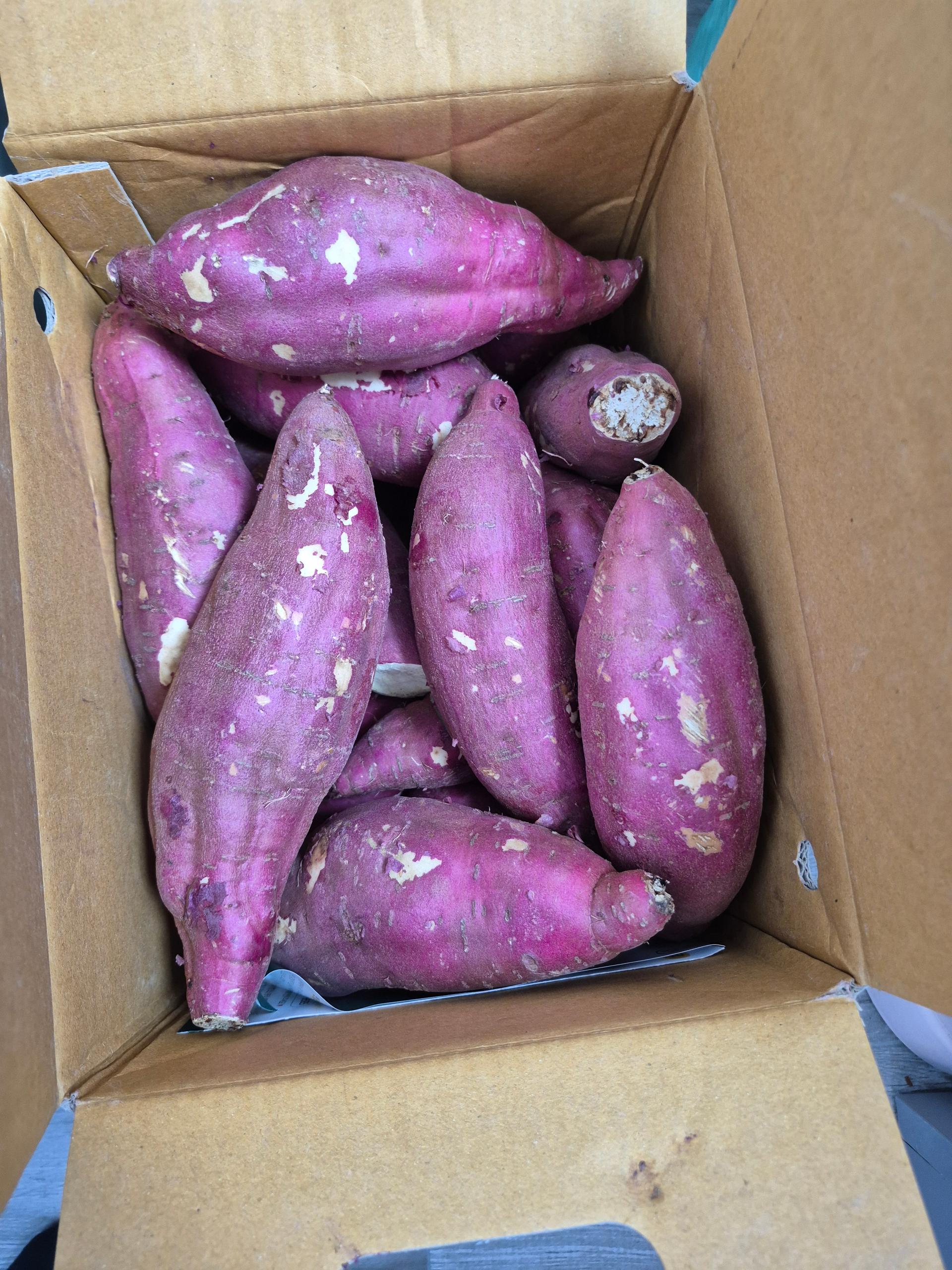 [EVENT] 무농약 김의준 꿀고구마 (대 3kg + 대/하 3kg) + 대 2kg 추가증정