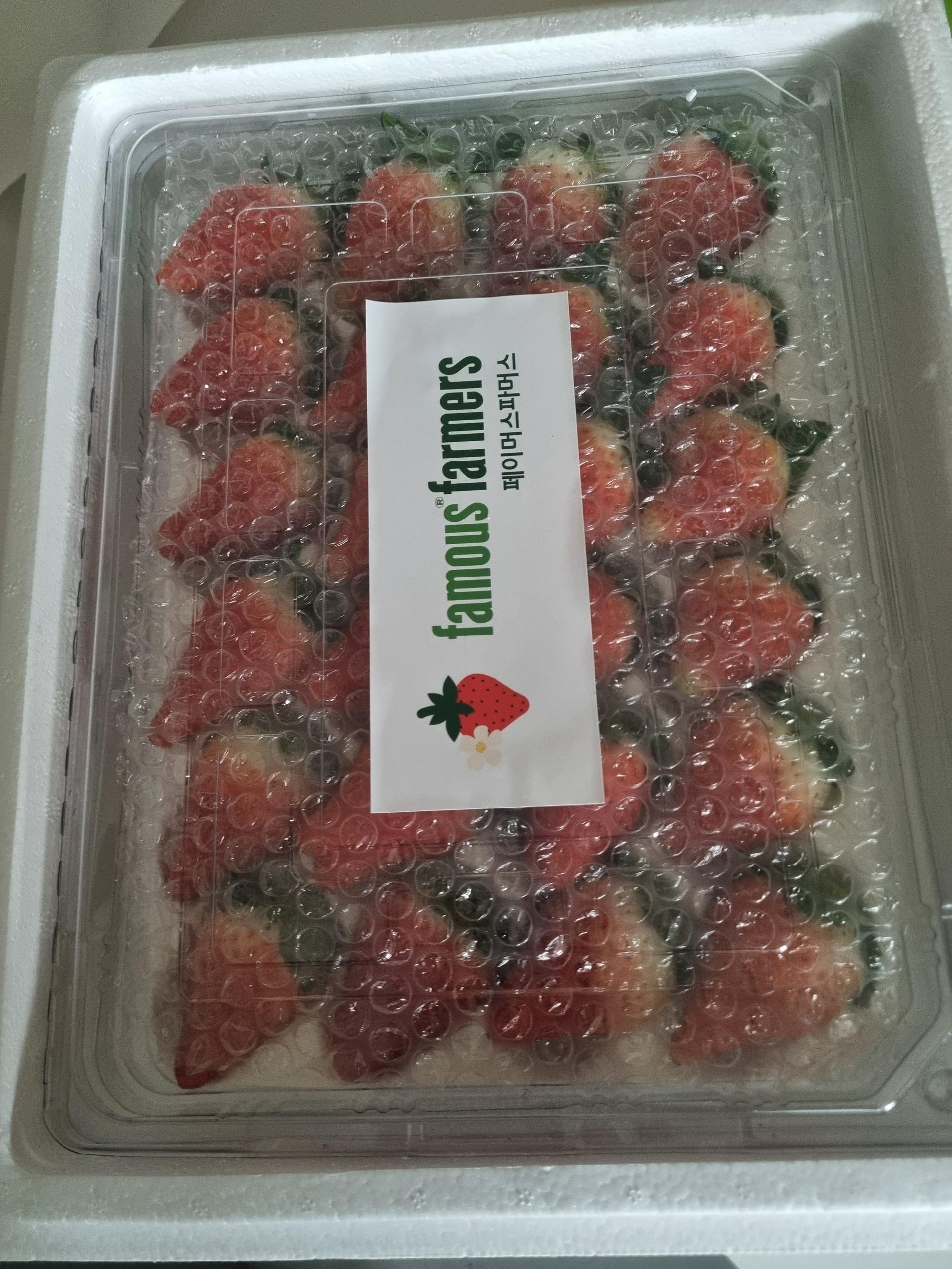 연곡 페이머스파머스 딸기 800g