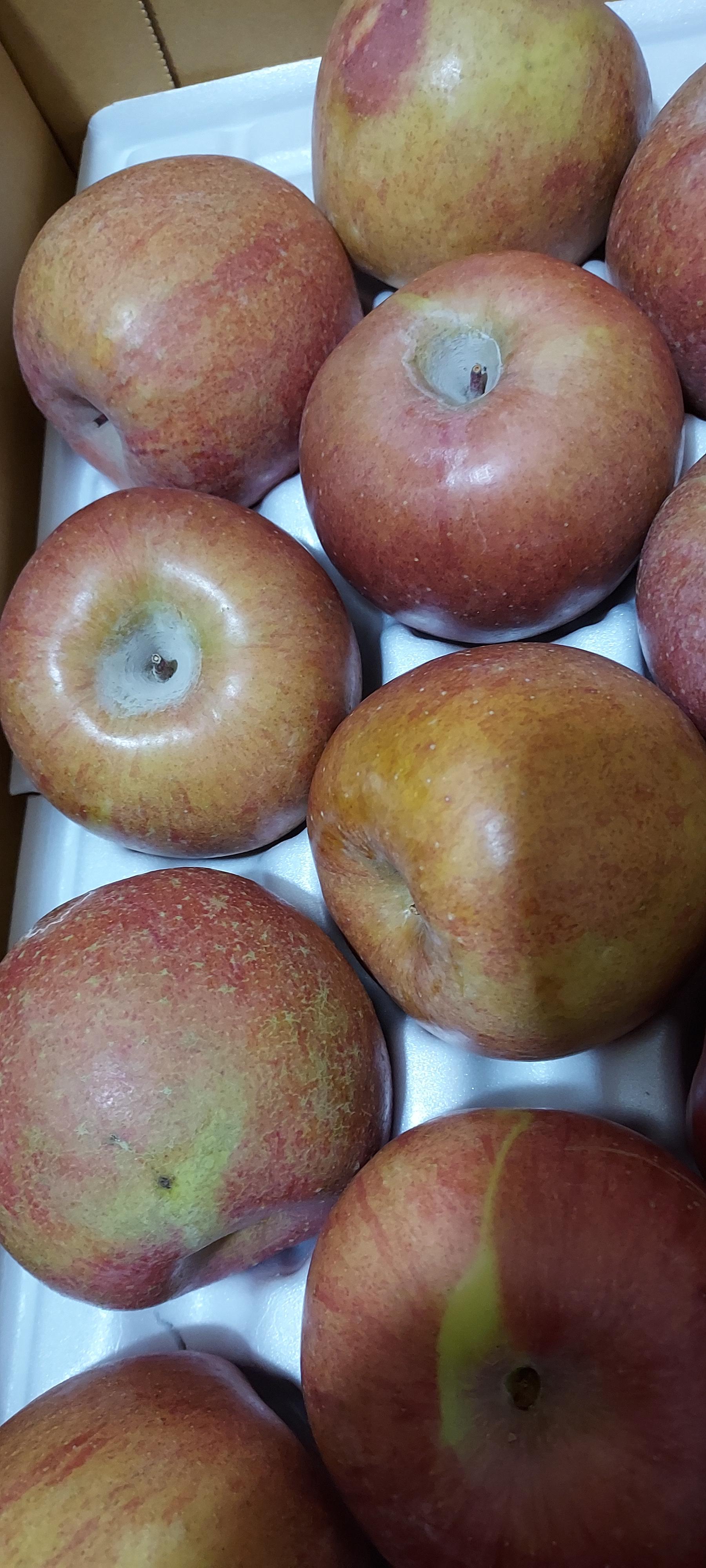 무주 반딧불 부사 4kg(18과)