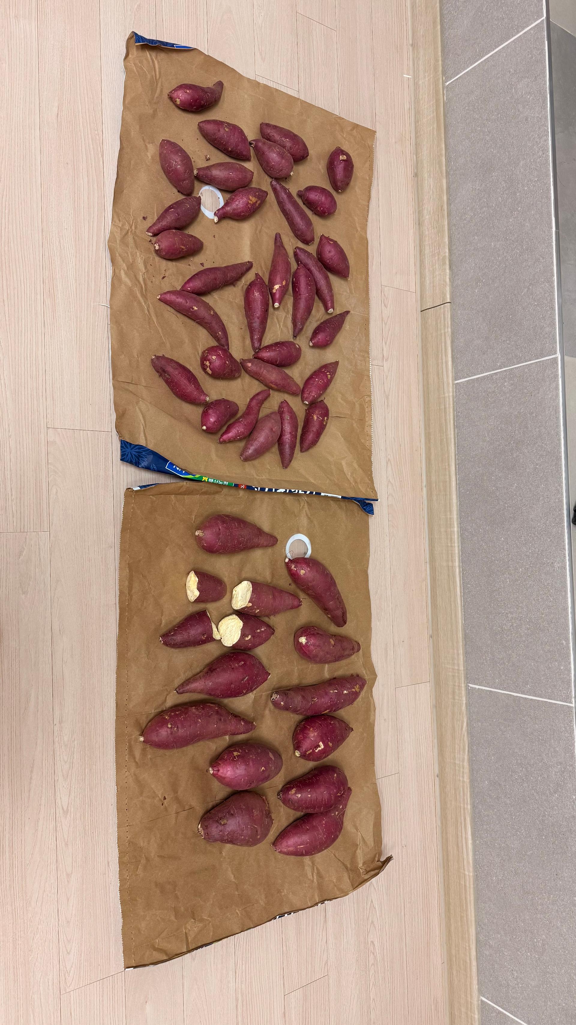 [EVENT] 무농약 김의준 꿀고구마 (대 3kg + 대/하 3kg) + 대 2kg 추가증정