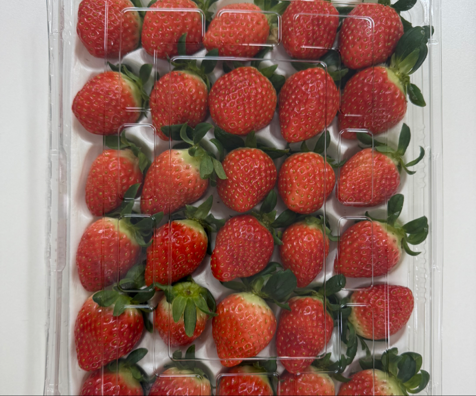 연곡 페이머스파머스 딸기 800g