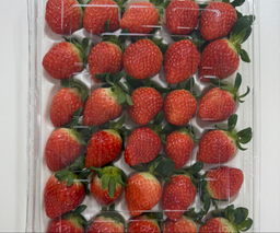 연곡 페이머스파머스 딸기 800g-1