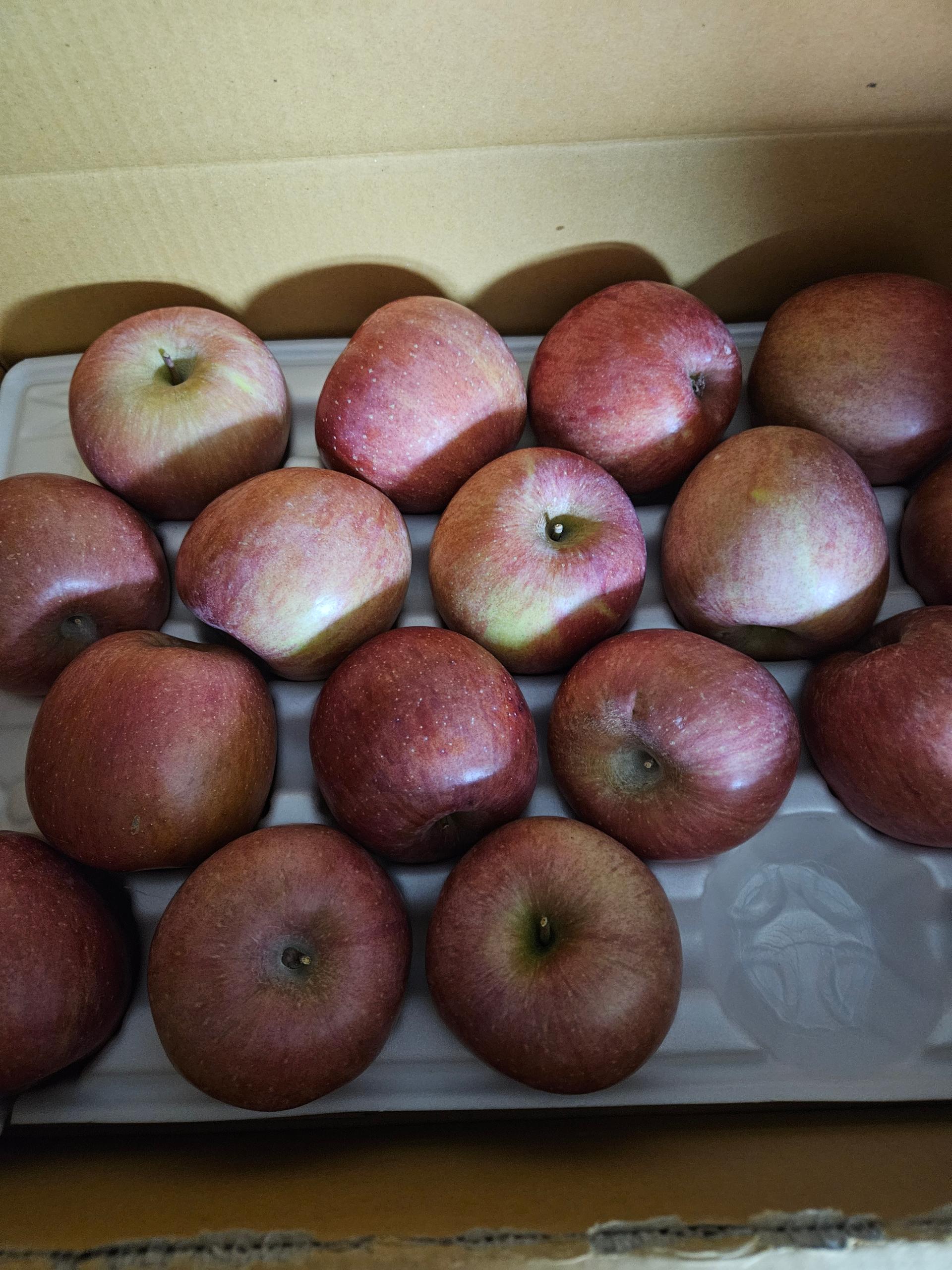 무주 반딧불 부사 4kg(18과)