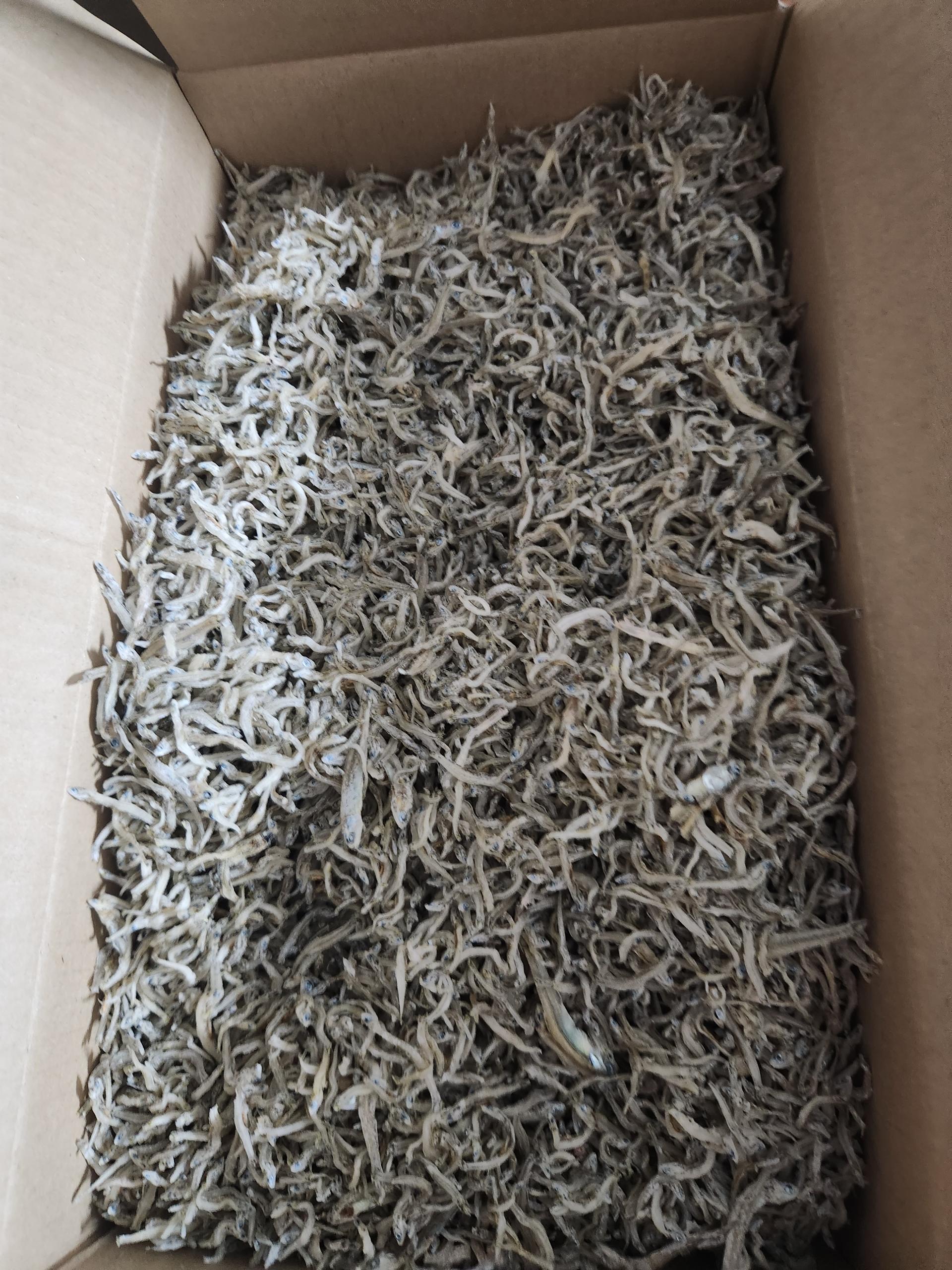 완도 잔멸치 (1kg)