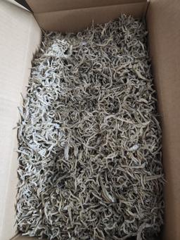 완도 잔멸치 (1kg)-1