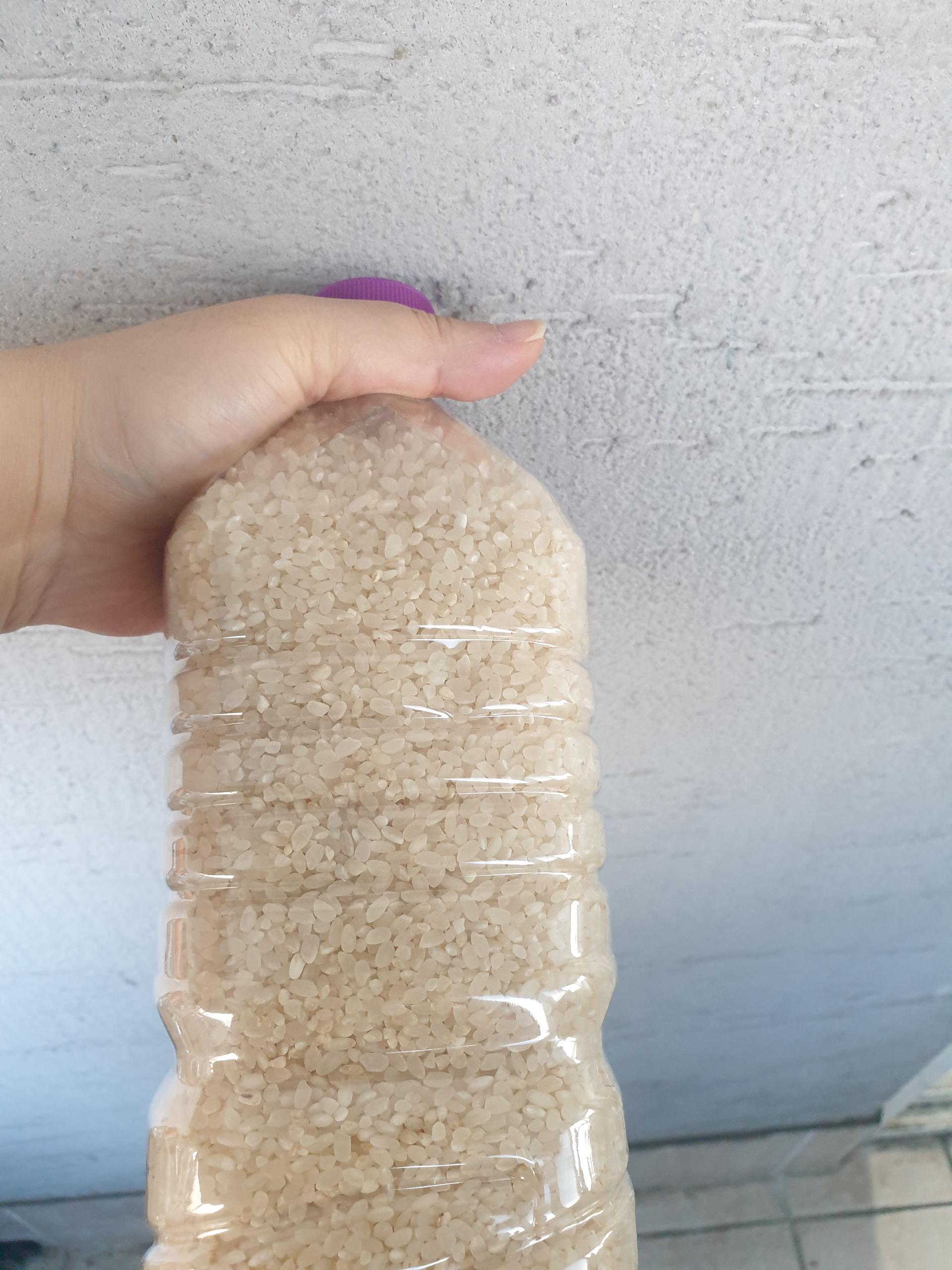 생거진천쌀 10kg