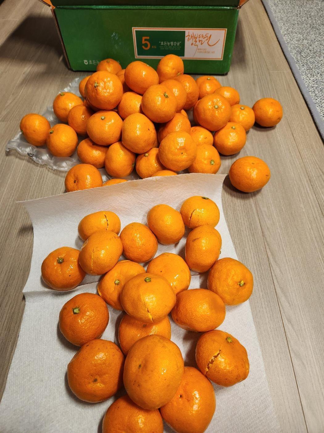 행복담원 타이벡귤 5kg (로얄과)