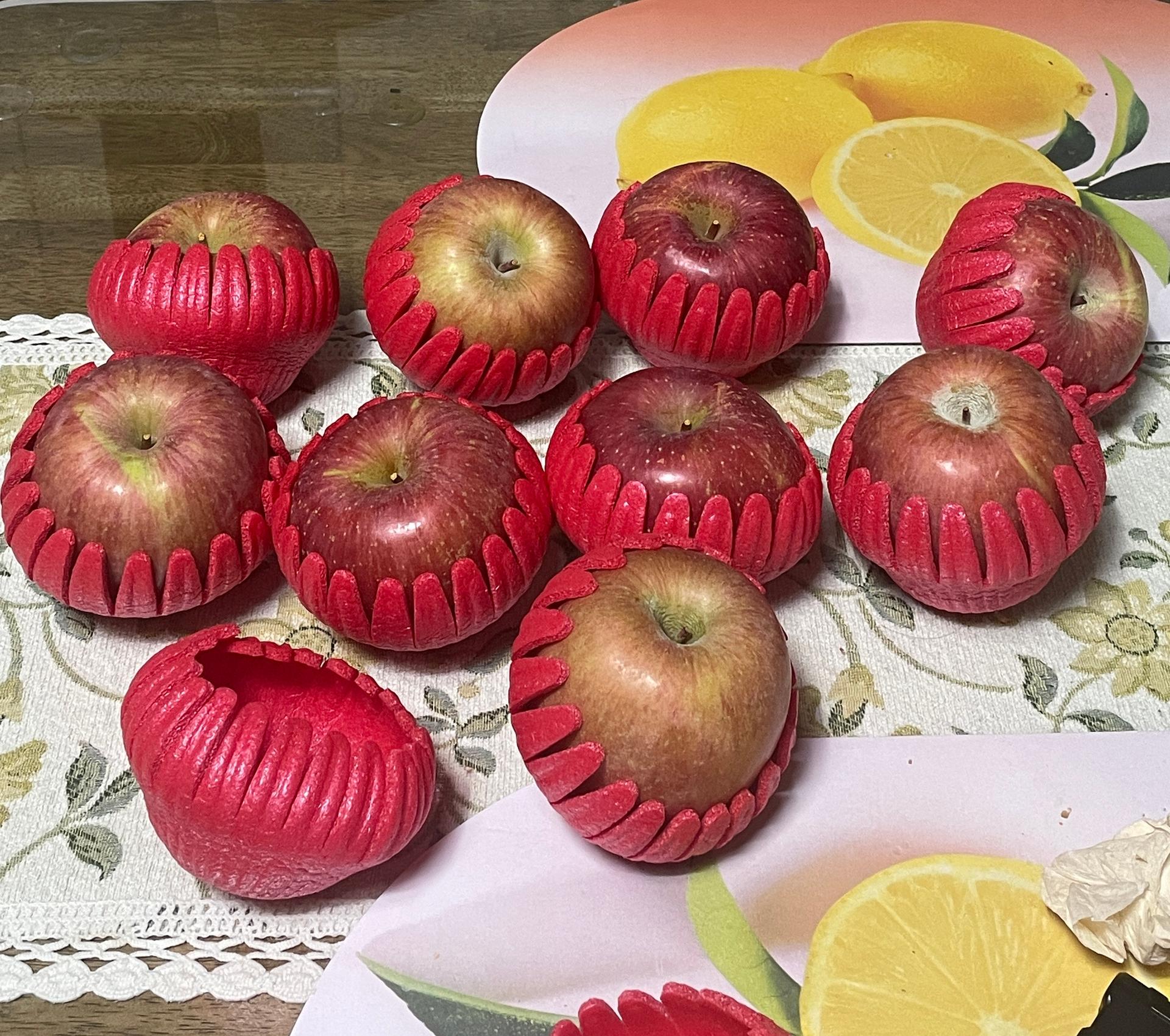 포토후기 이미지