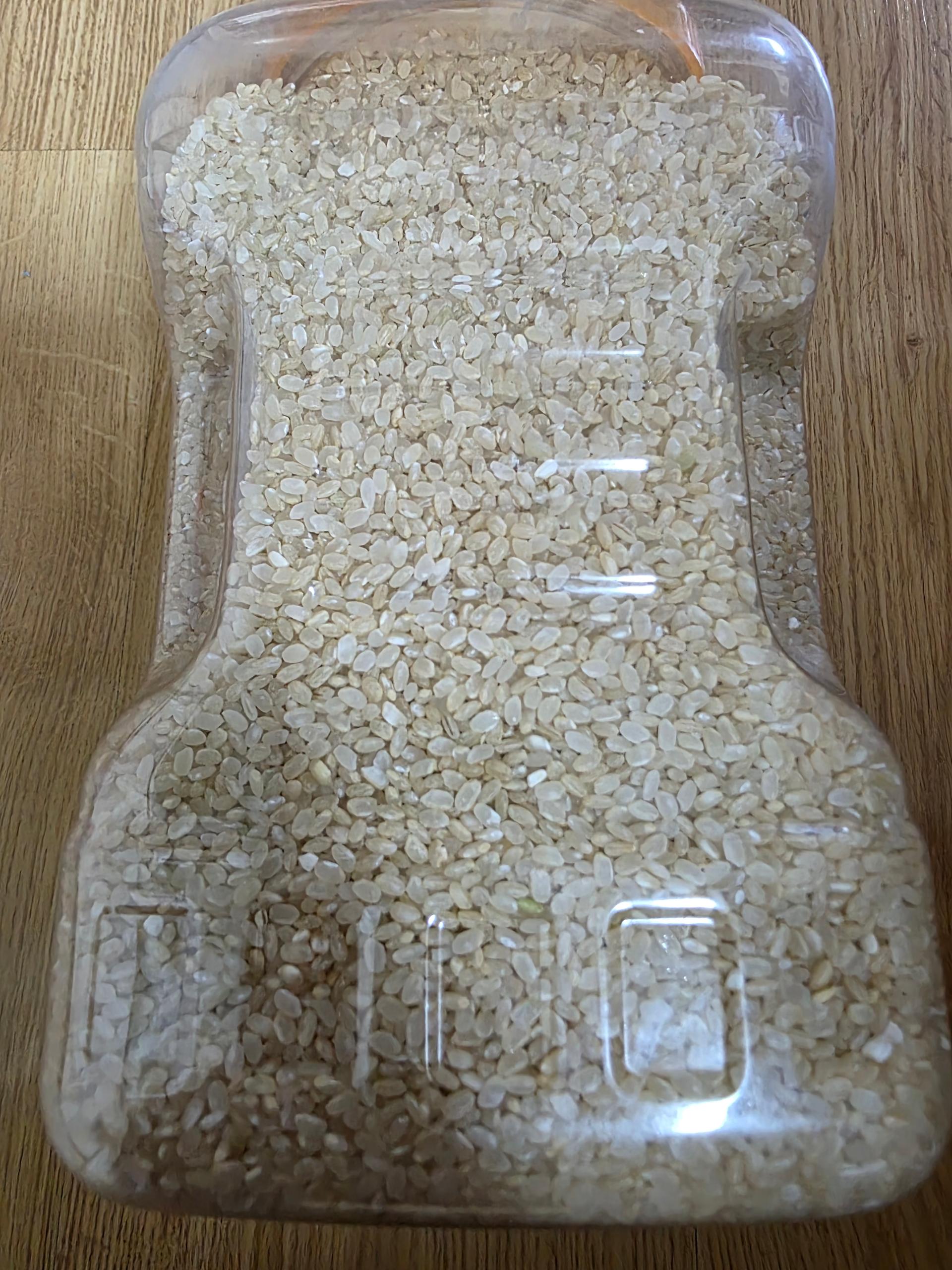 삼대 청정햇쌀 오분도미 현미 10kg