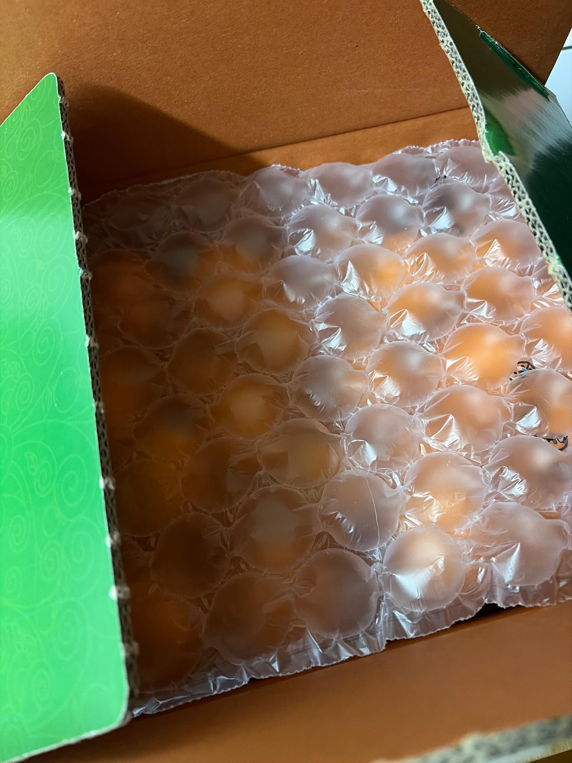 행복담원 타이벡귤 5kg (로얄과)