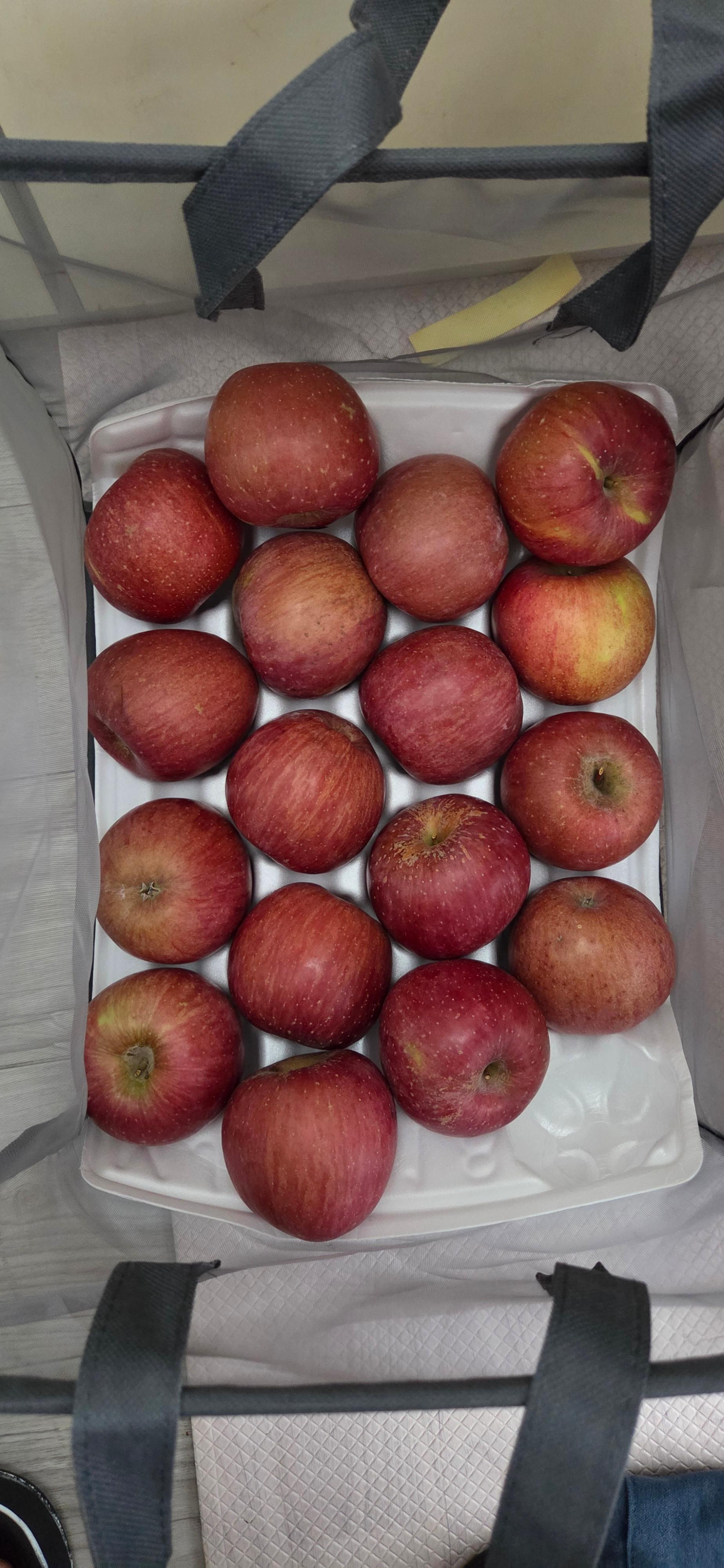 무주 반딧불 부사 4kg(18과)