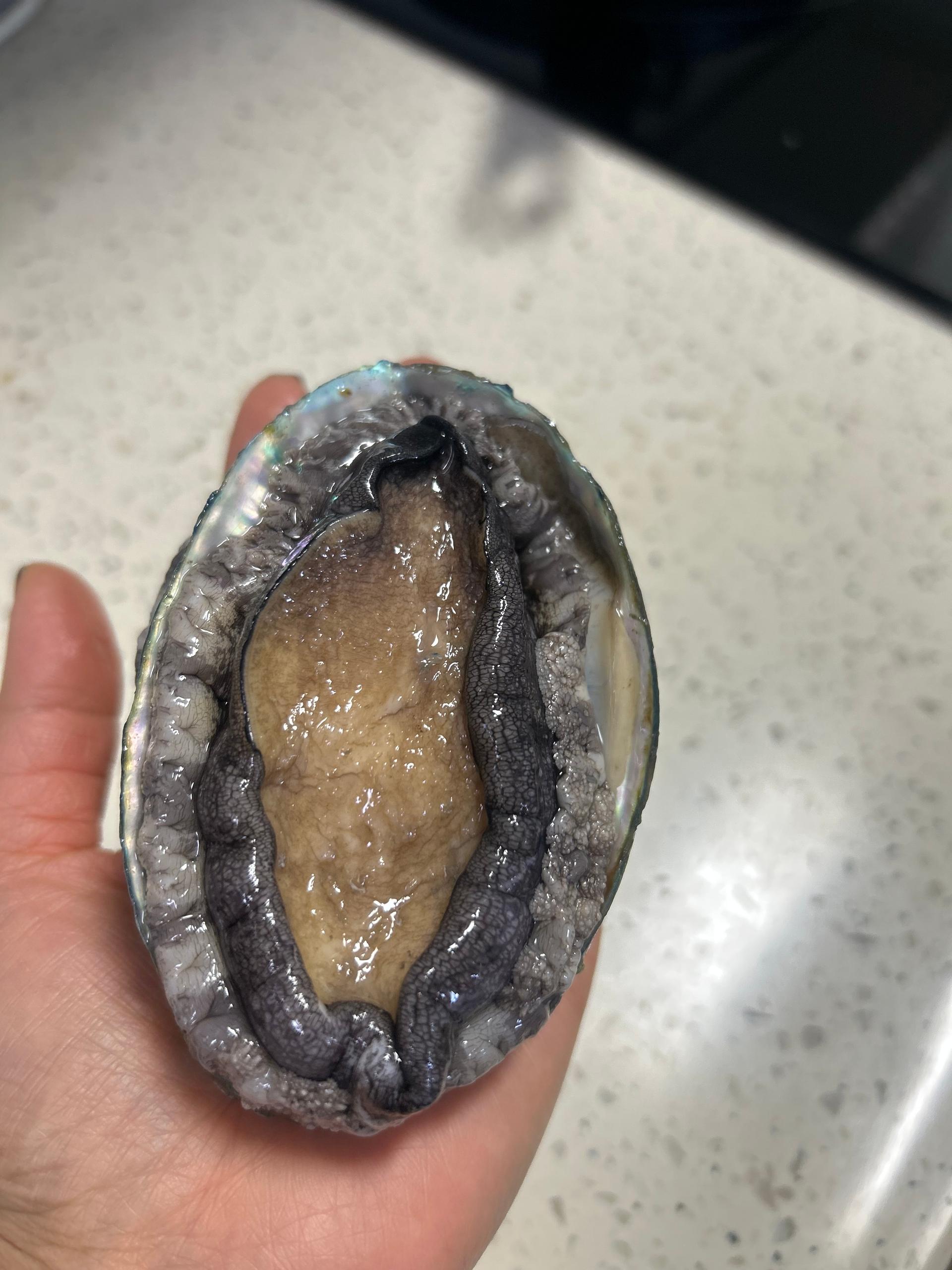 포토후기 이미지