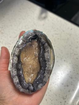 완도 전복 실속 선물세트 (1kg)-1