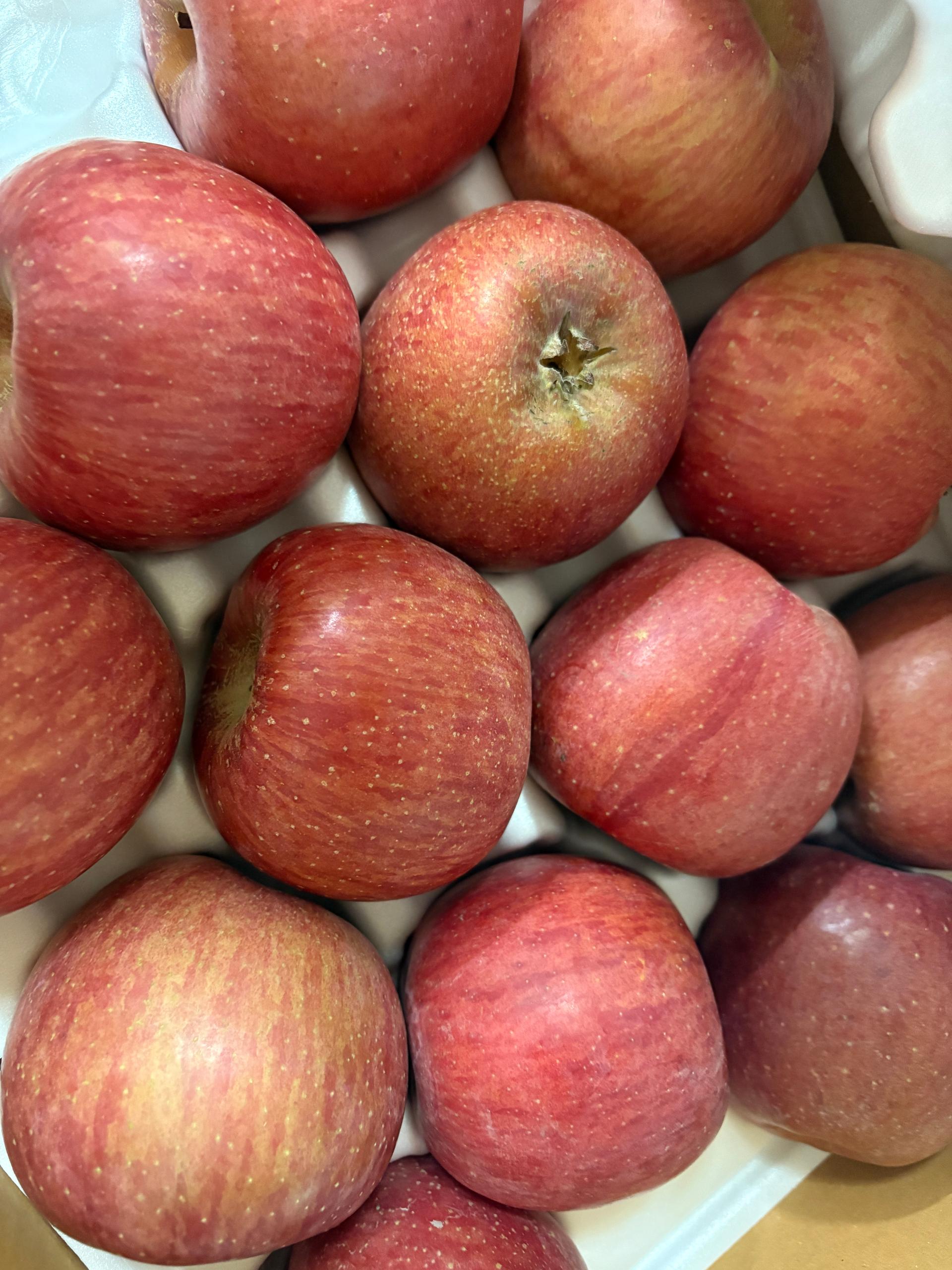 포토후기 이미지