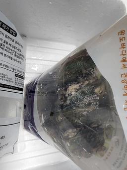 완도 전복 실속 선물세트 (1kg)-1