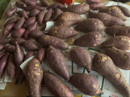 [EVENT] 무농약 김의준 꿀고구마 (대 3kg + 대/하 3kg) + 대 2kg 추가증정-1