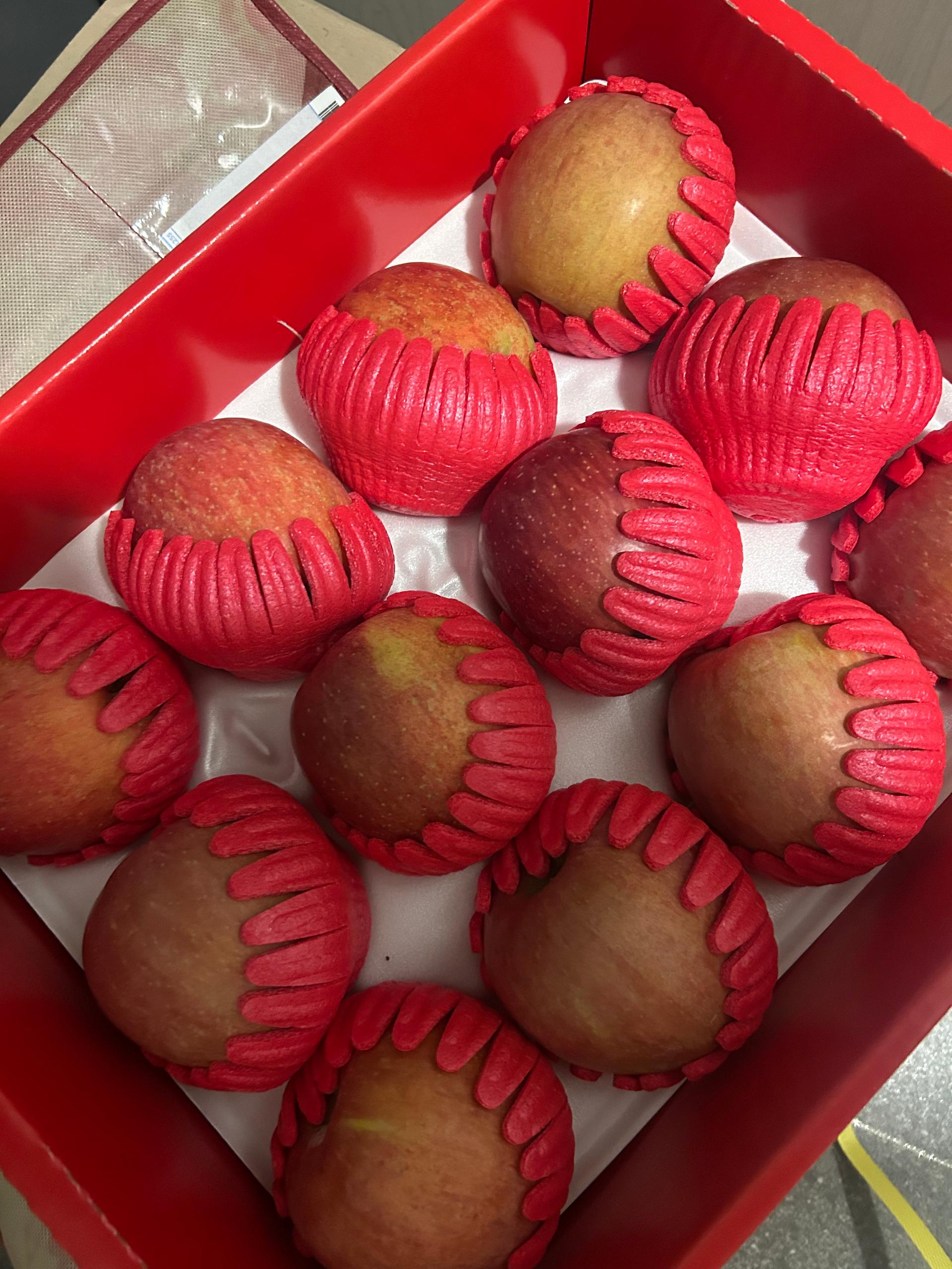 포토후기 이미지