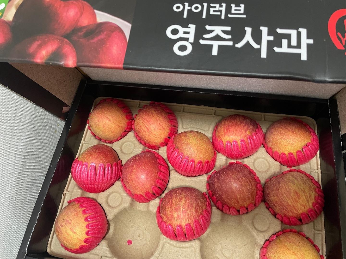 [대경사과원예농협]영주사과 3.2kg 선물세트+1kg 추가 증정