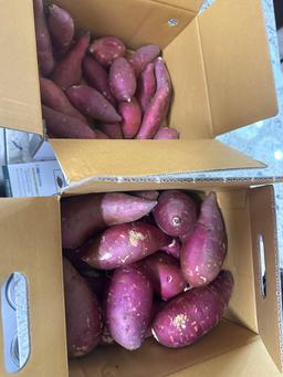 [EVENT] 무농약 김의준 꿀고구마 (대 3kg + 대/하 3kg) + 대 2kg 추가증정-1