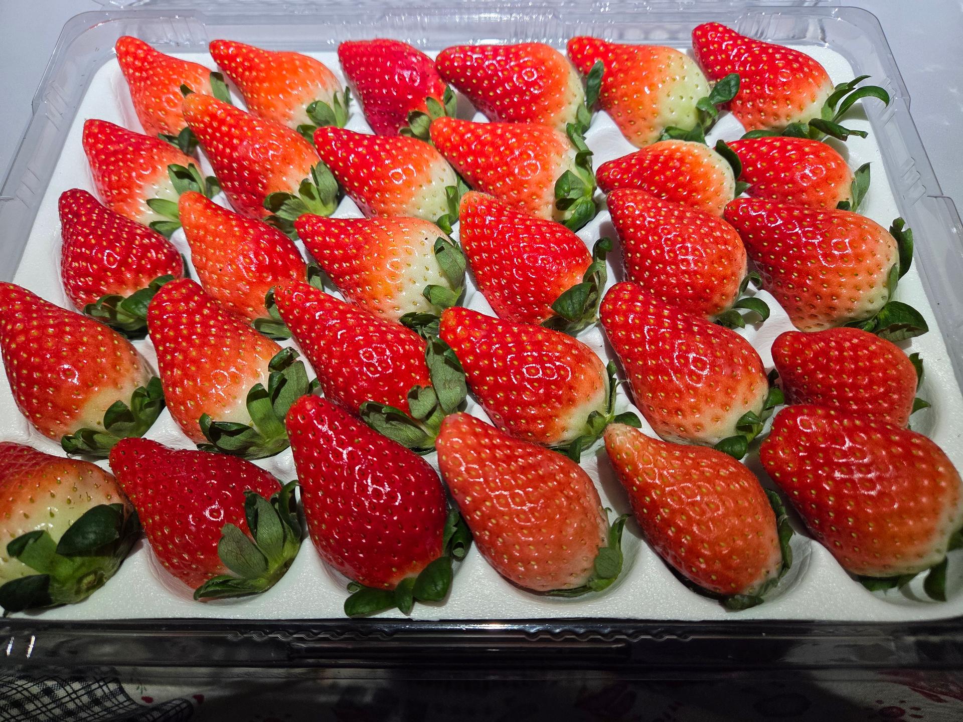 연곡 페이머스파머스 딸기 800g