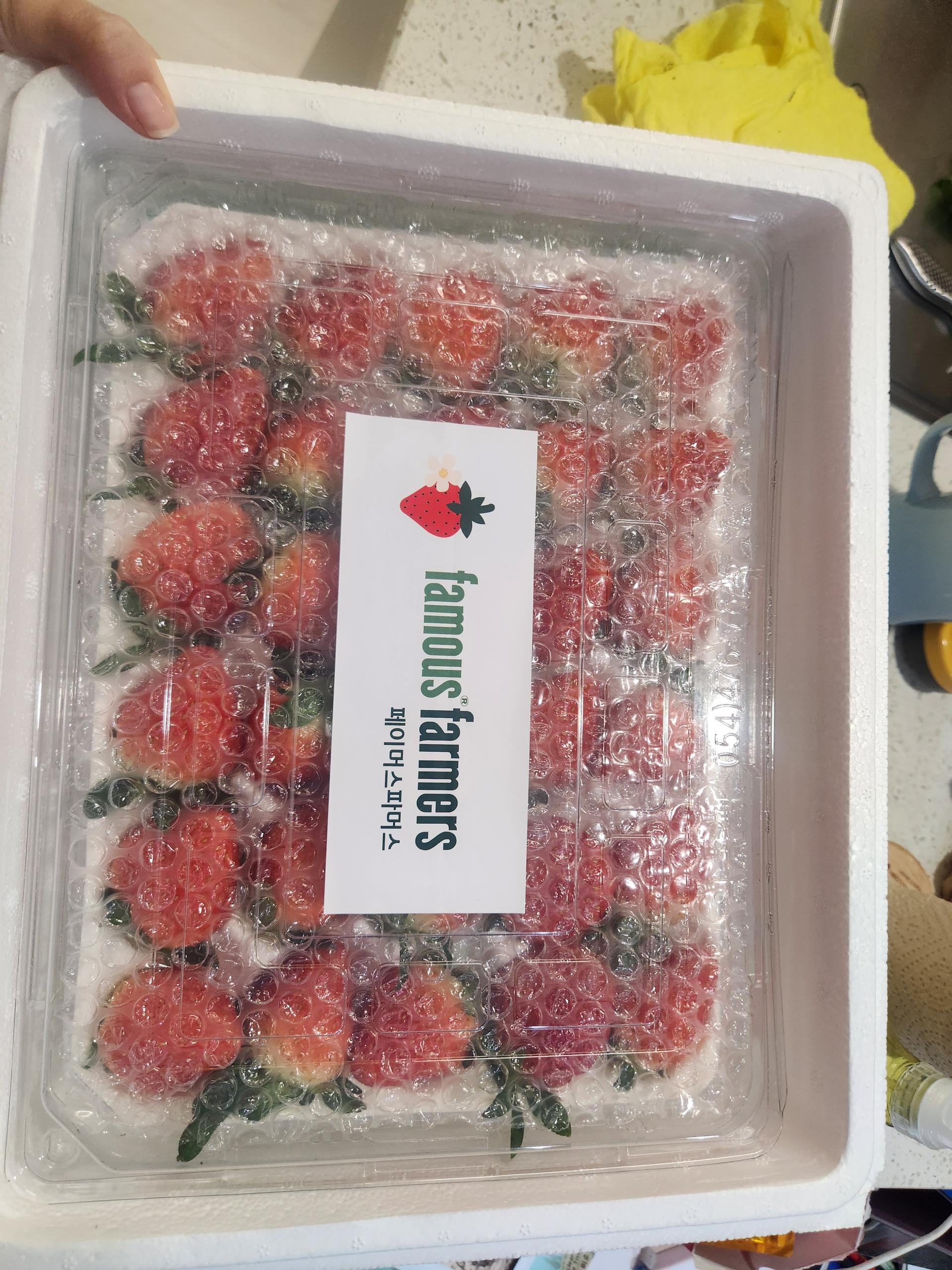 연곡 페이머스파머스 딸기 800g