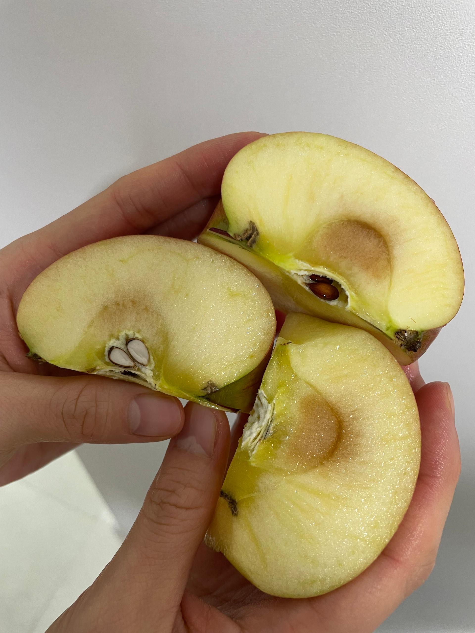 풍기농협 영주사과 3.5kg + 1kg 추가증정