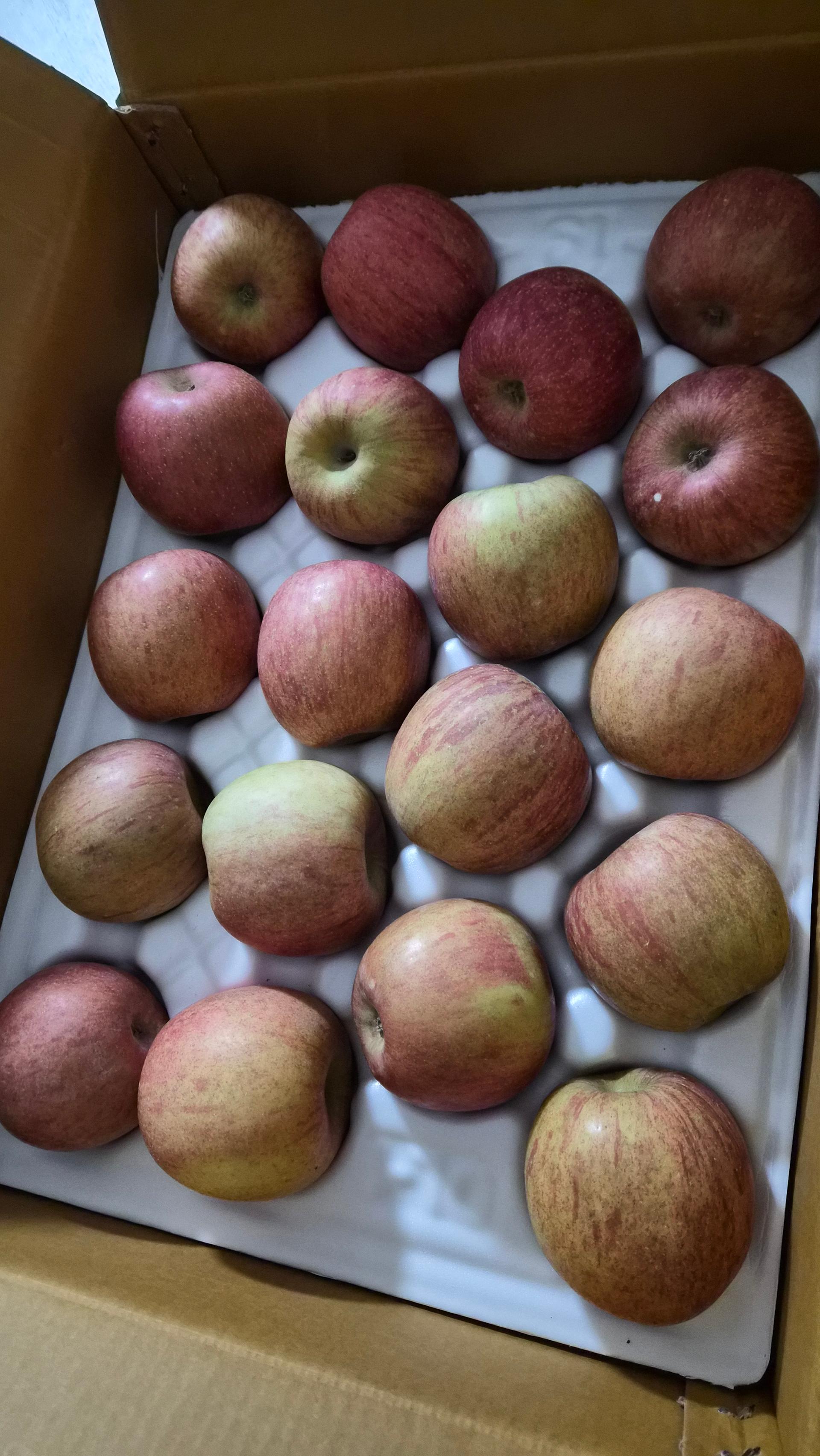 풍기농협 영주사과 3.5kg + 1kg 추가증정