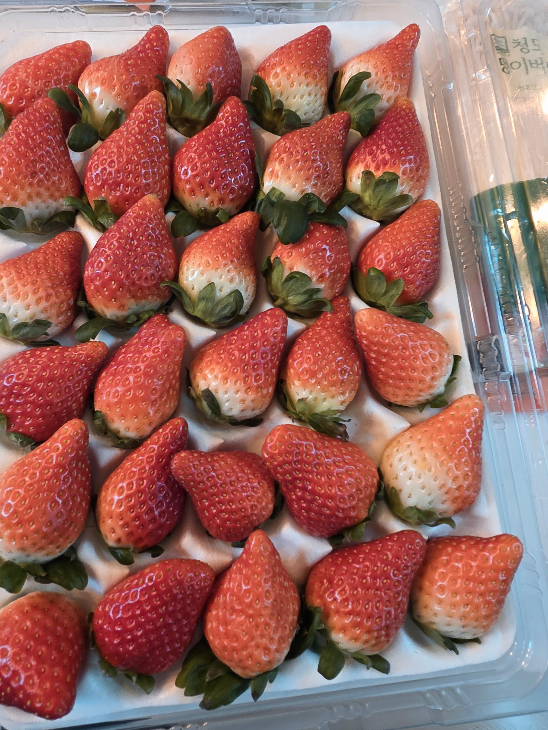 연곡 페이머스파머스 딸기 800g