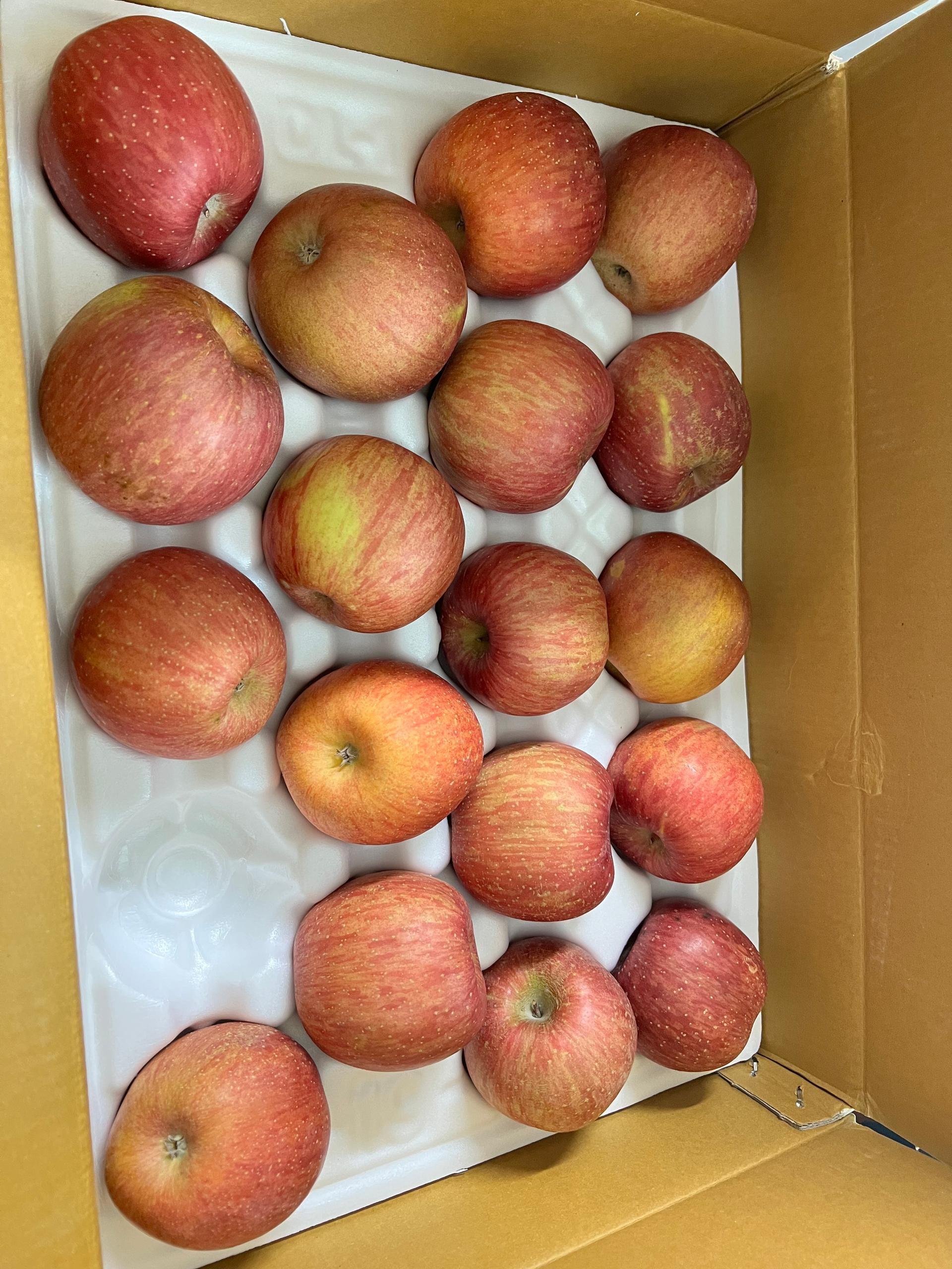 풍기농협 영주사과 3.5kg + 1kg 추가증정