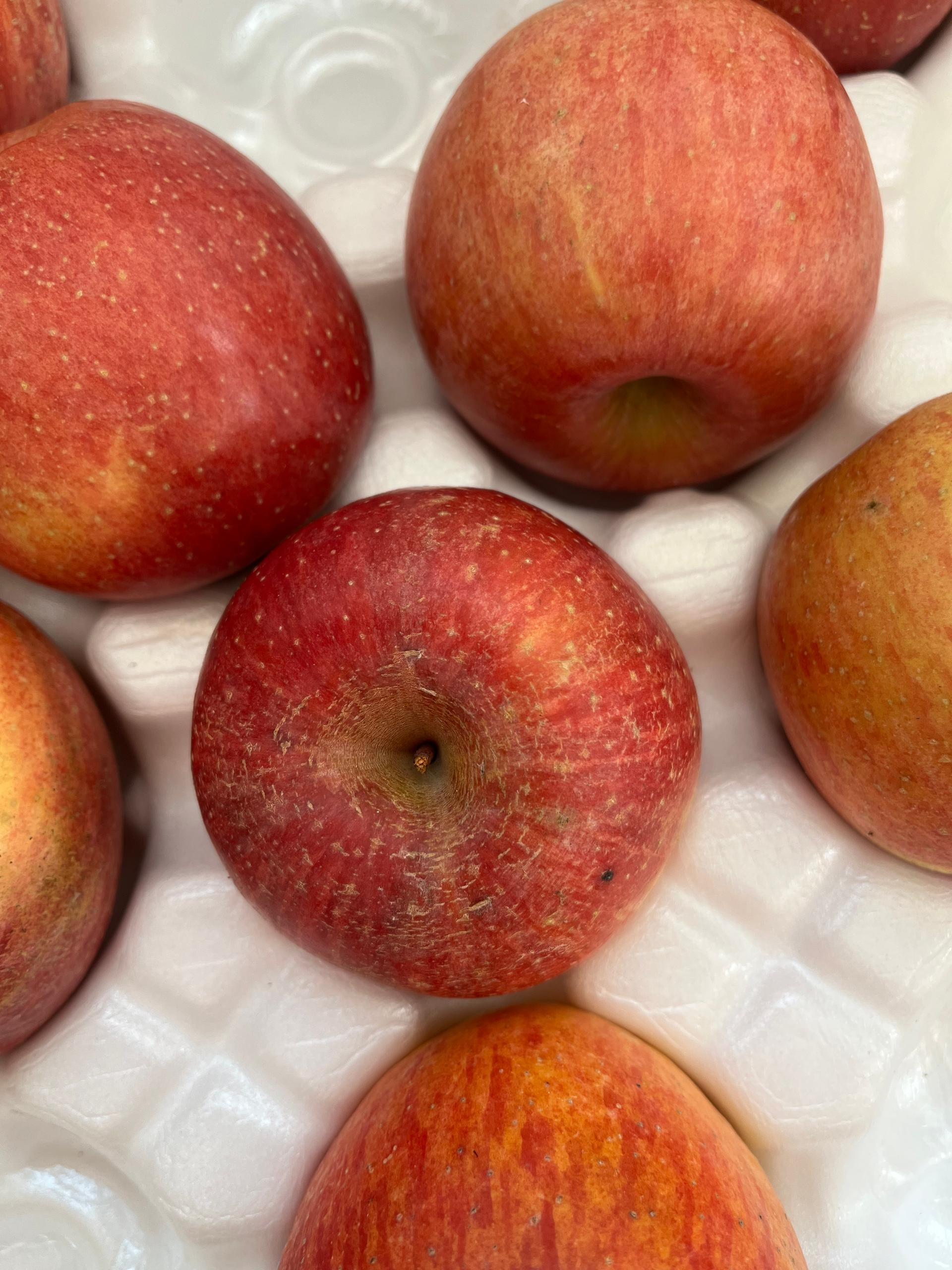 풍기농협 영주사과 3.5kg + 1kg 추가증정