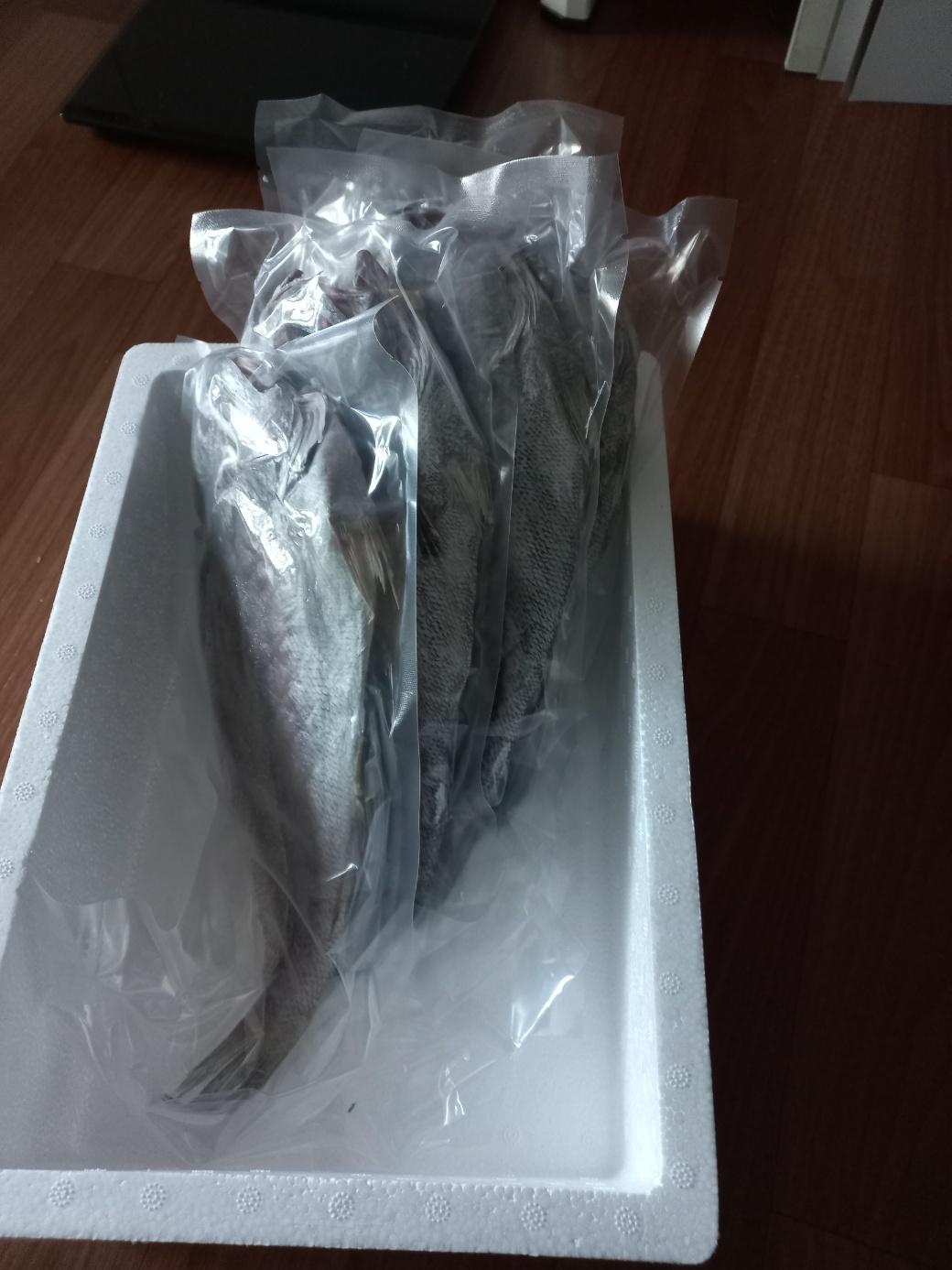 현대건어물 반건조 민어 5마리