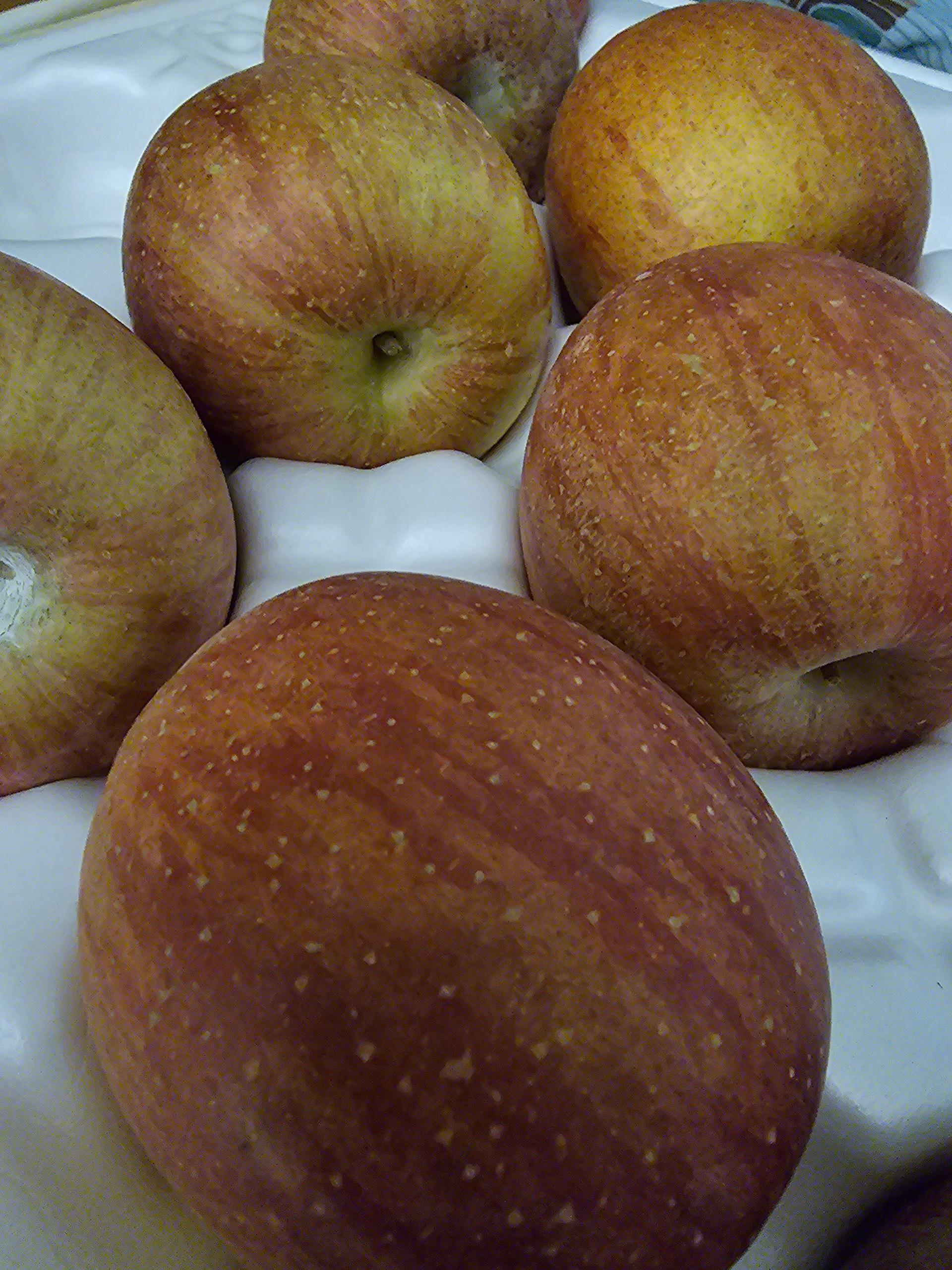 풍기농협 영주사과 3.5kg + 1kg 추가증정