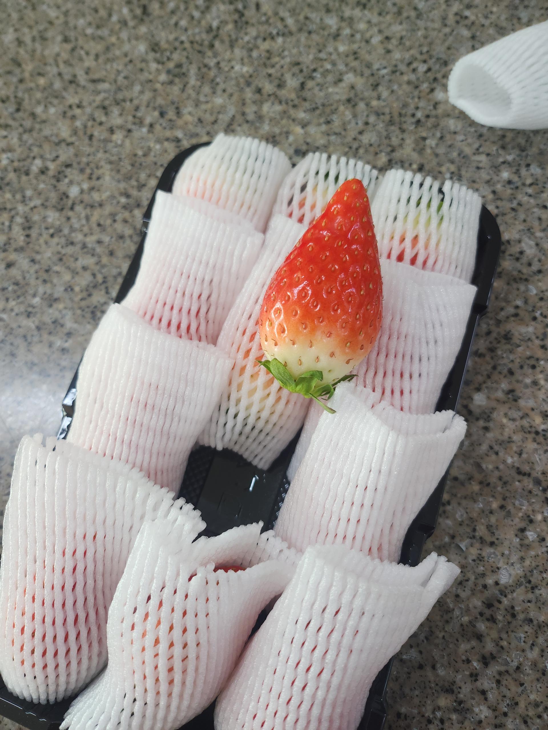 [12/23 주문건부터 1/12 순차발송] 논산 킹스베리 900g