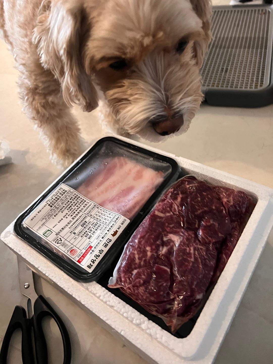 한우 실속구이 400g + 국거리 200g + 곰탕세트 500g*2팩 or 대패삼겹살400g 추가증정