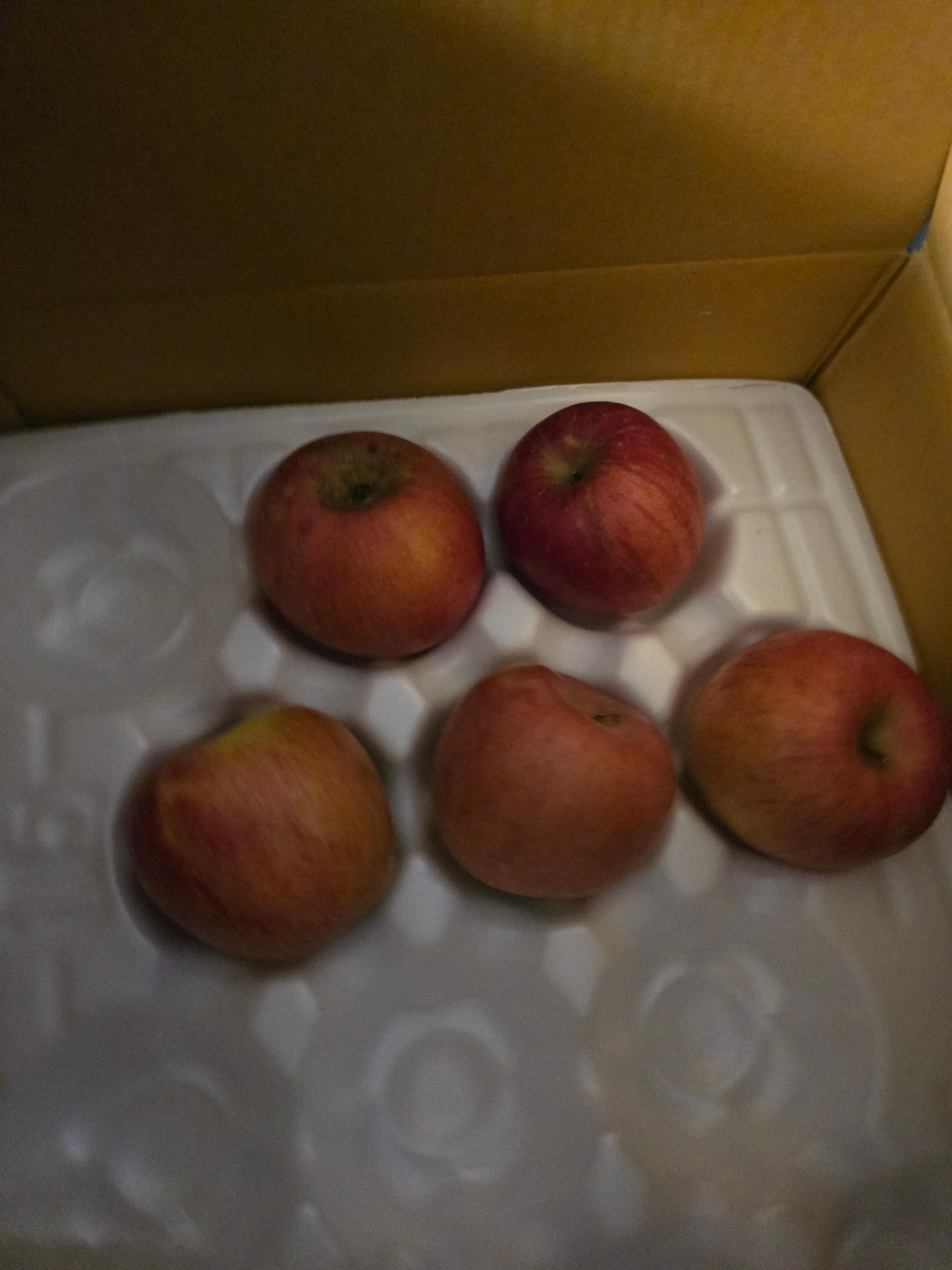 풍기농협 영주사과 3.5kg