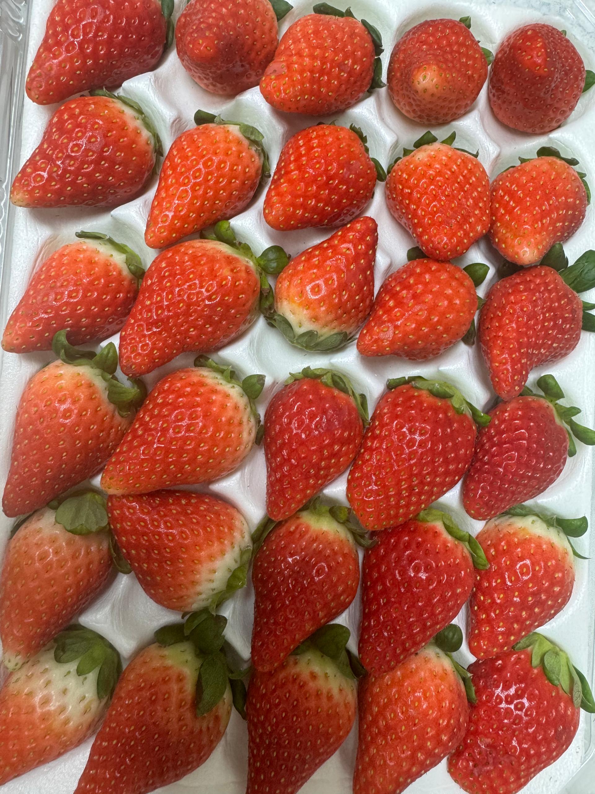 포토후기 이미지