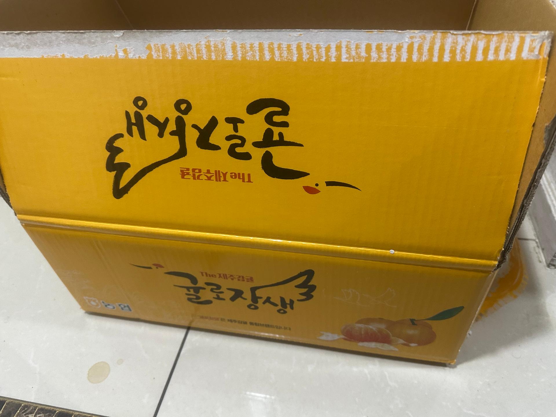 포토후기 이미지