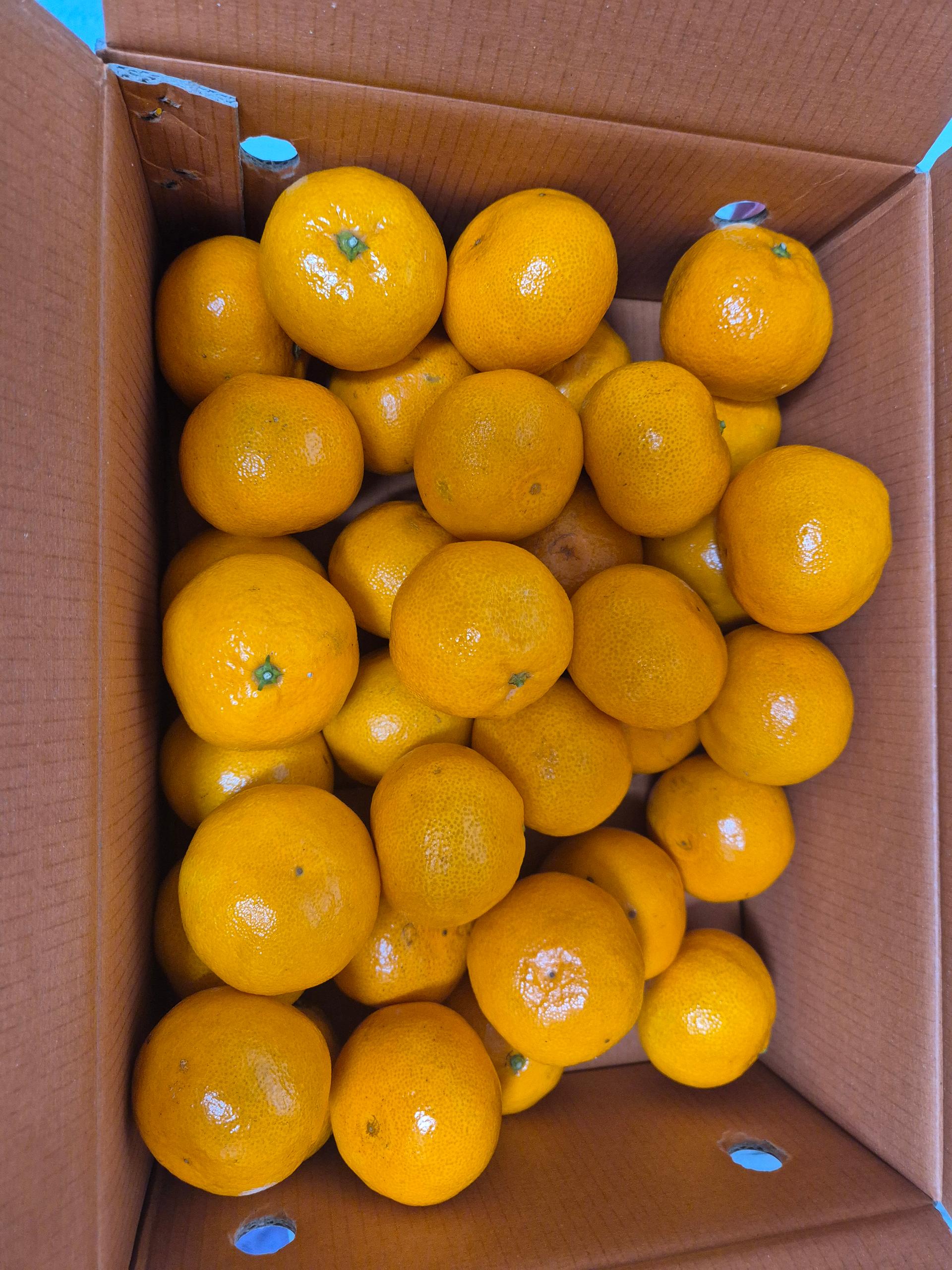 포토후기 이미지