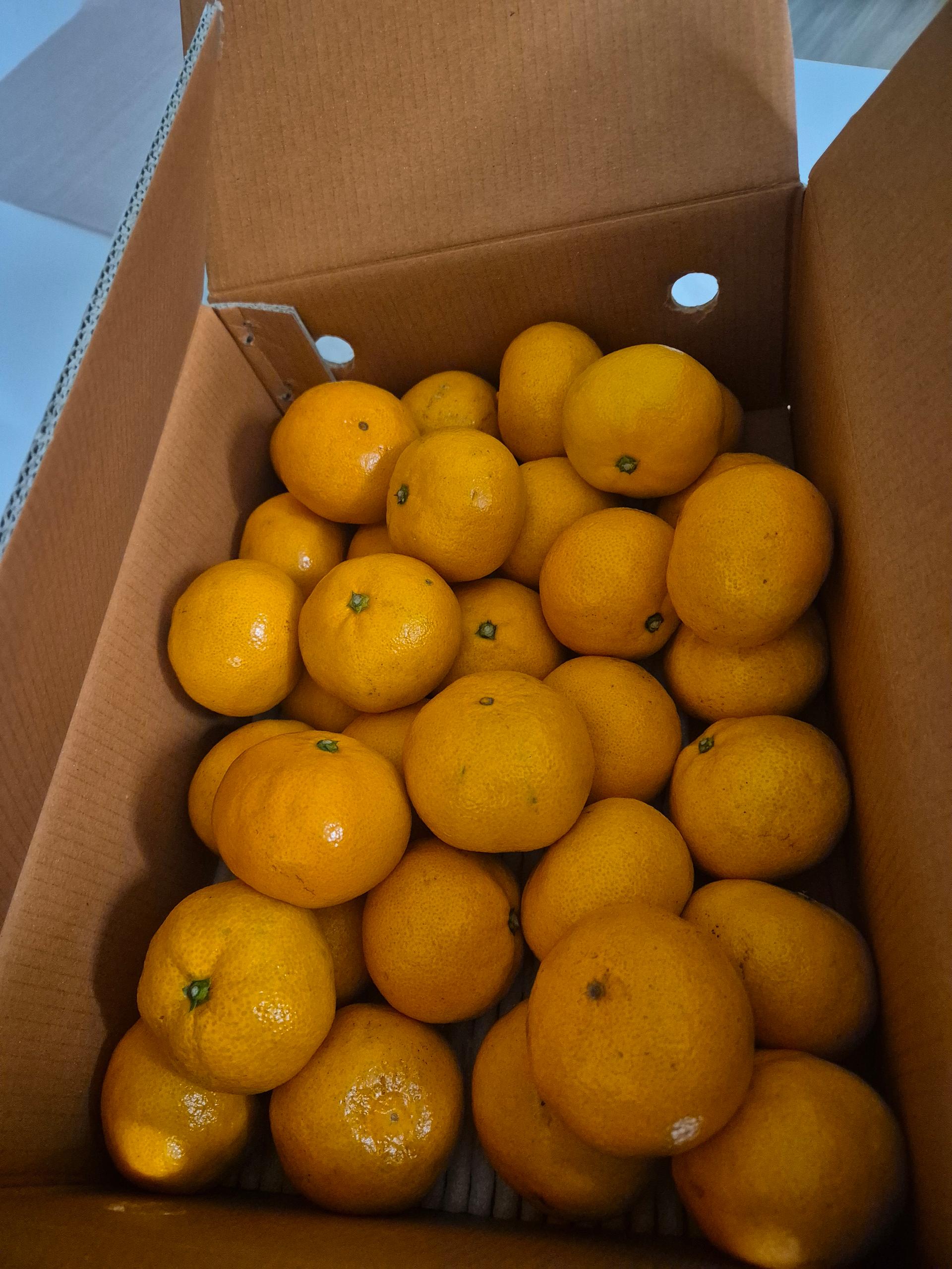 포토후기 이미지