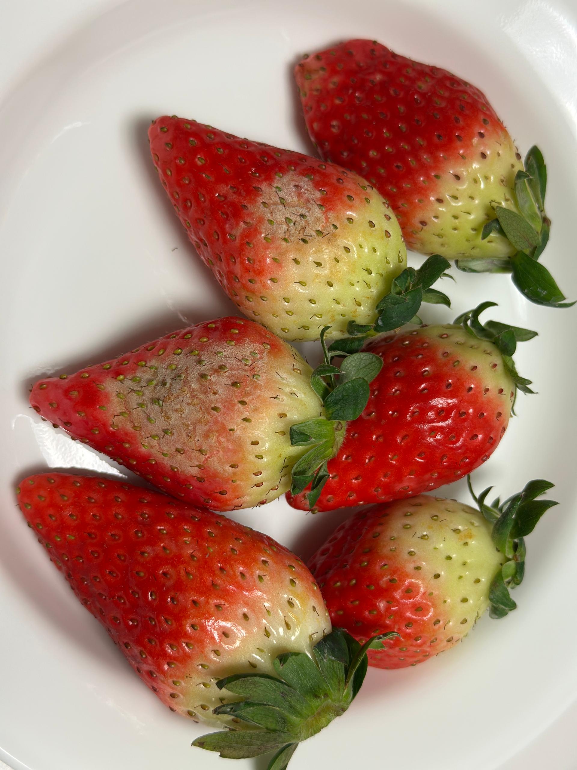 포토후기 이미지