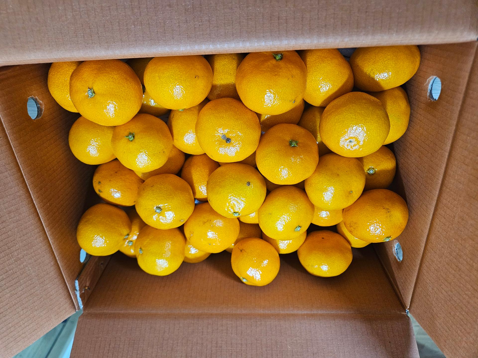 포토후기 이미지