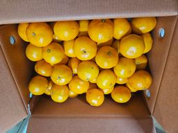 [연말한정! 감귤/흑돼지 ★분리발송★] 제주감귤 4kg (1박스)+흑돼지세트-1