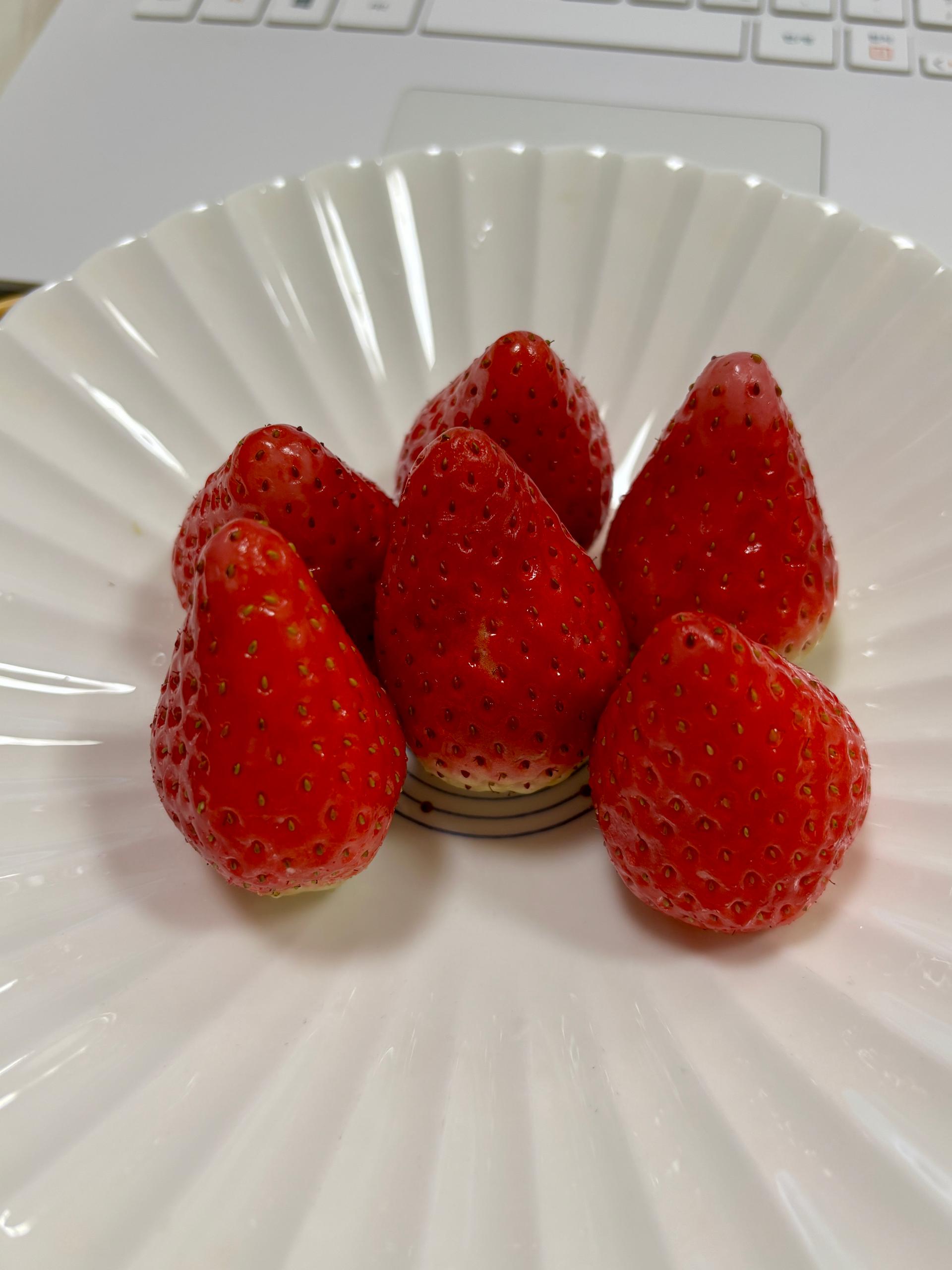 포토후기 이미지